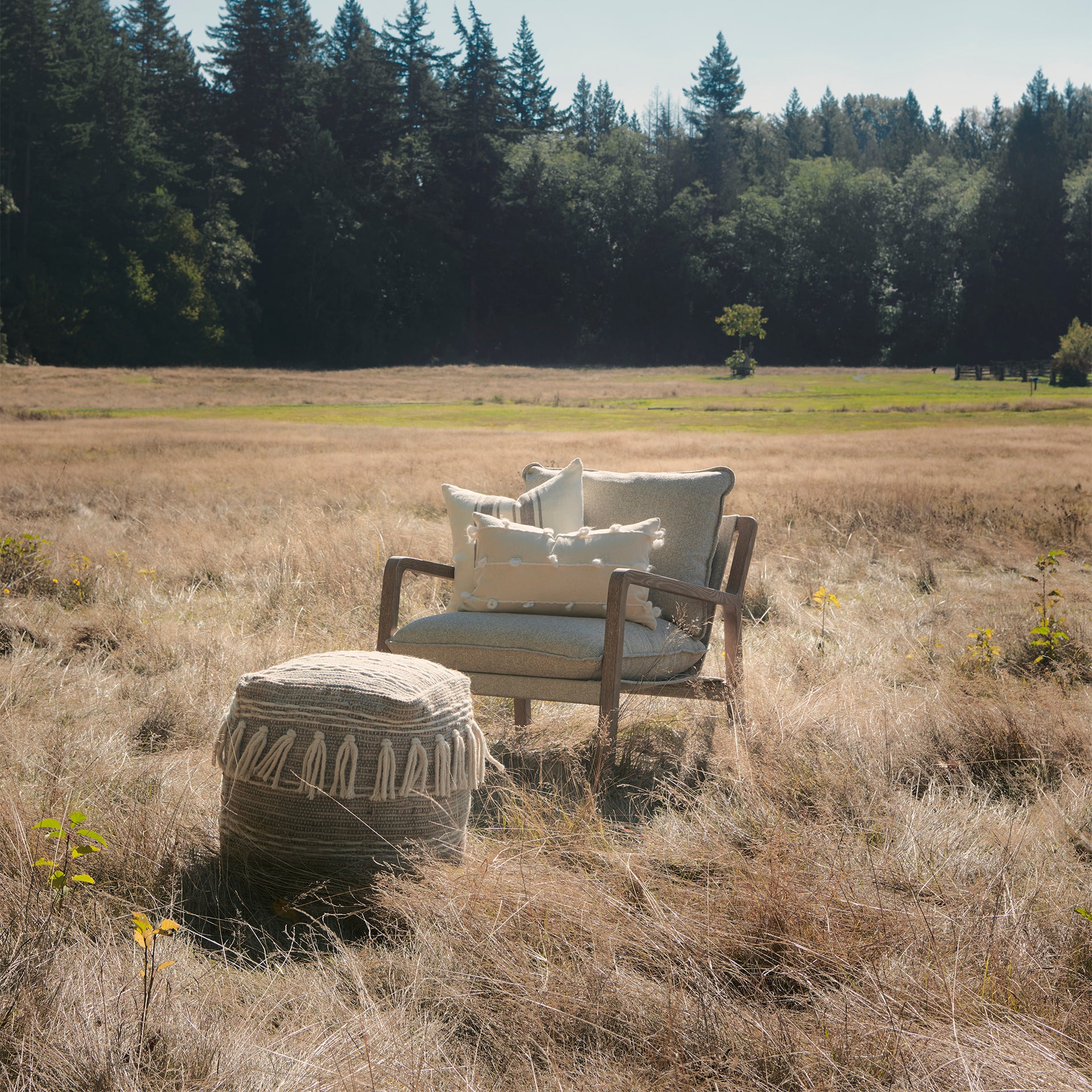 Brayden Upholstered Accent Chair