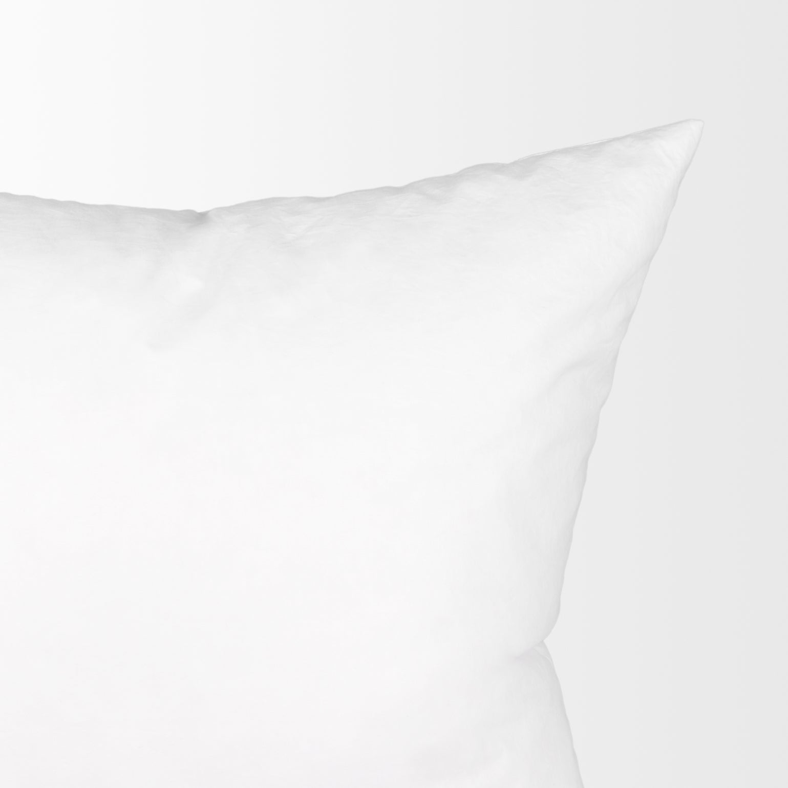 22x22 Pillow Inserts