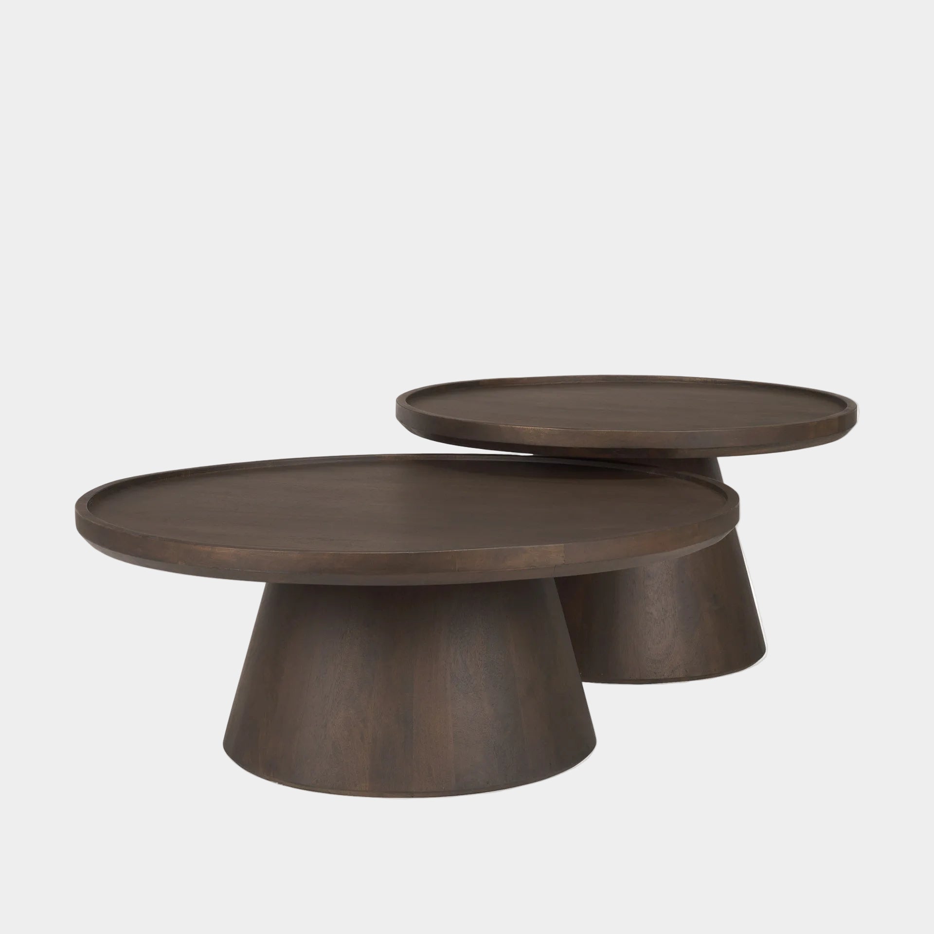 Takoda Coffee Table Set of 2