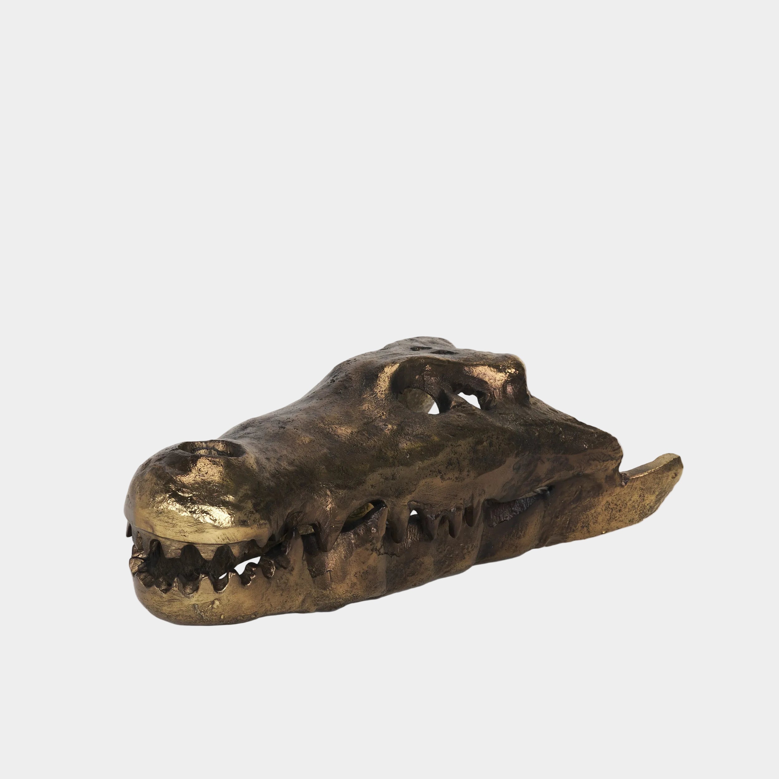 Allistair Skull Object