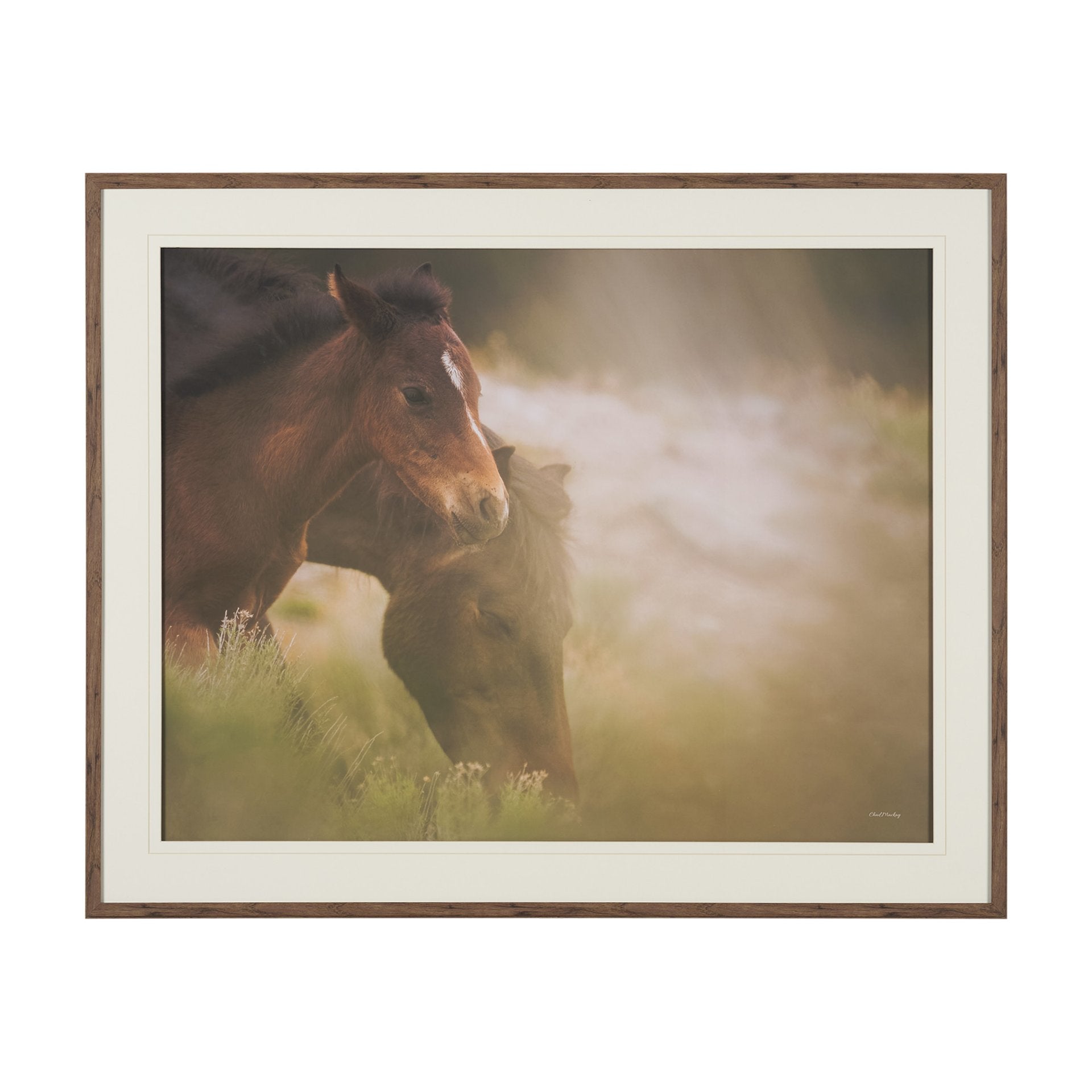 Magic Framed Series