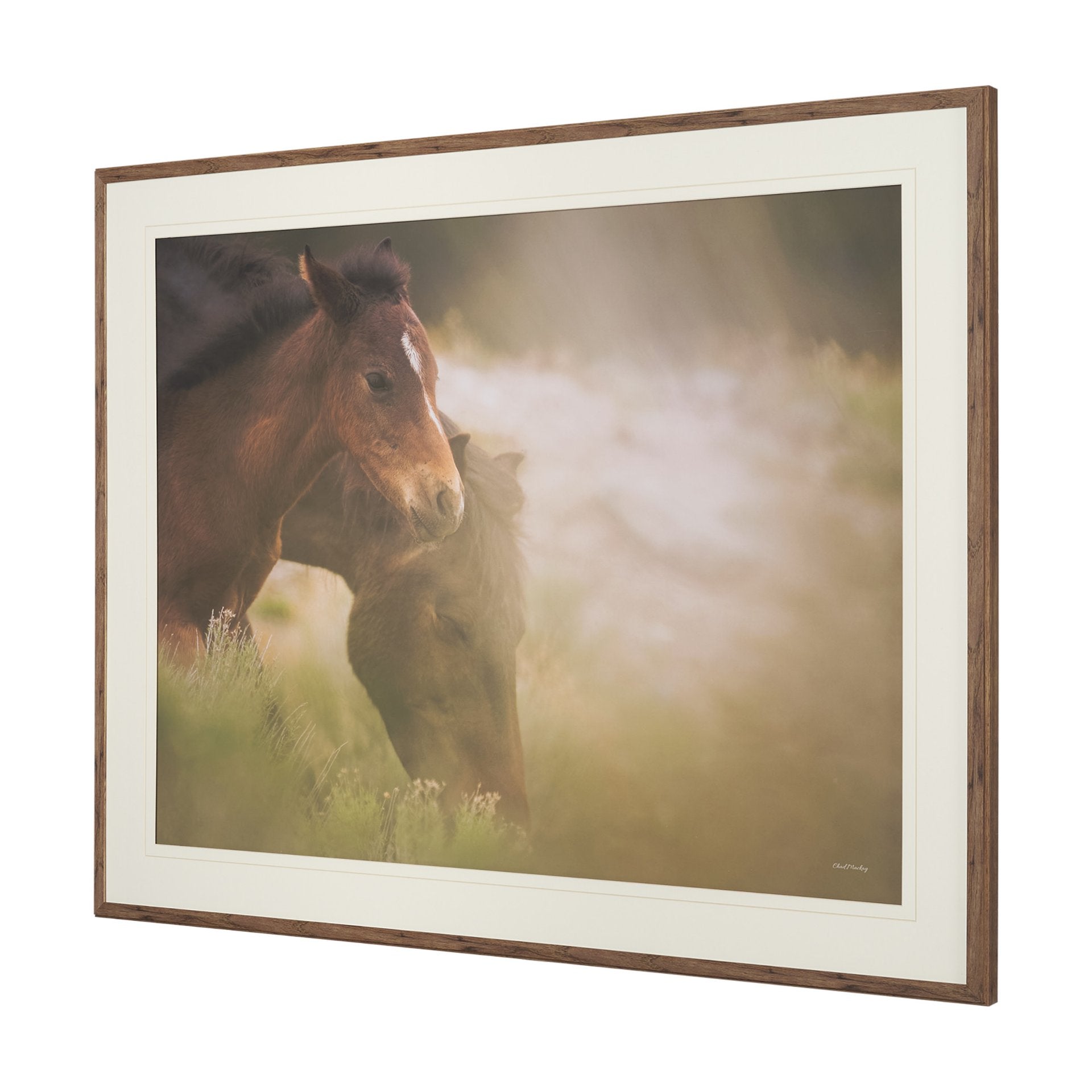 Magic Framed Series