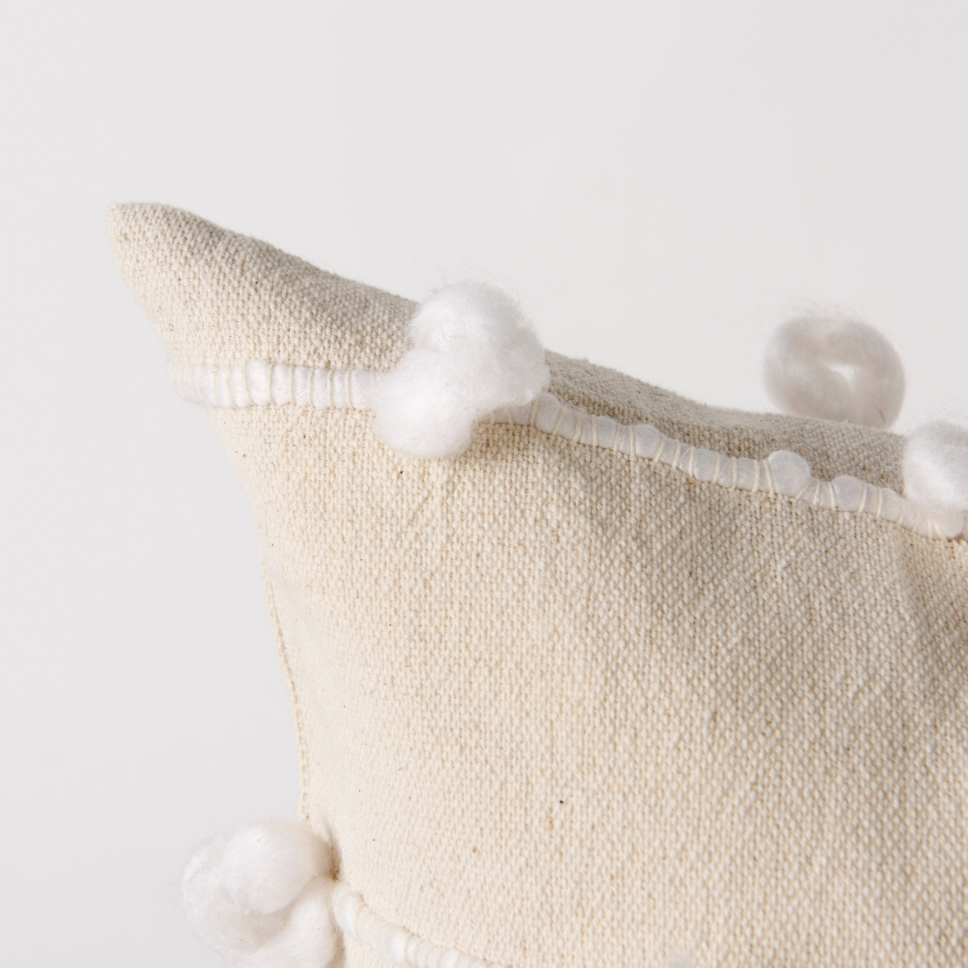 Erica Throw Pillow