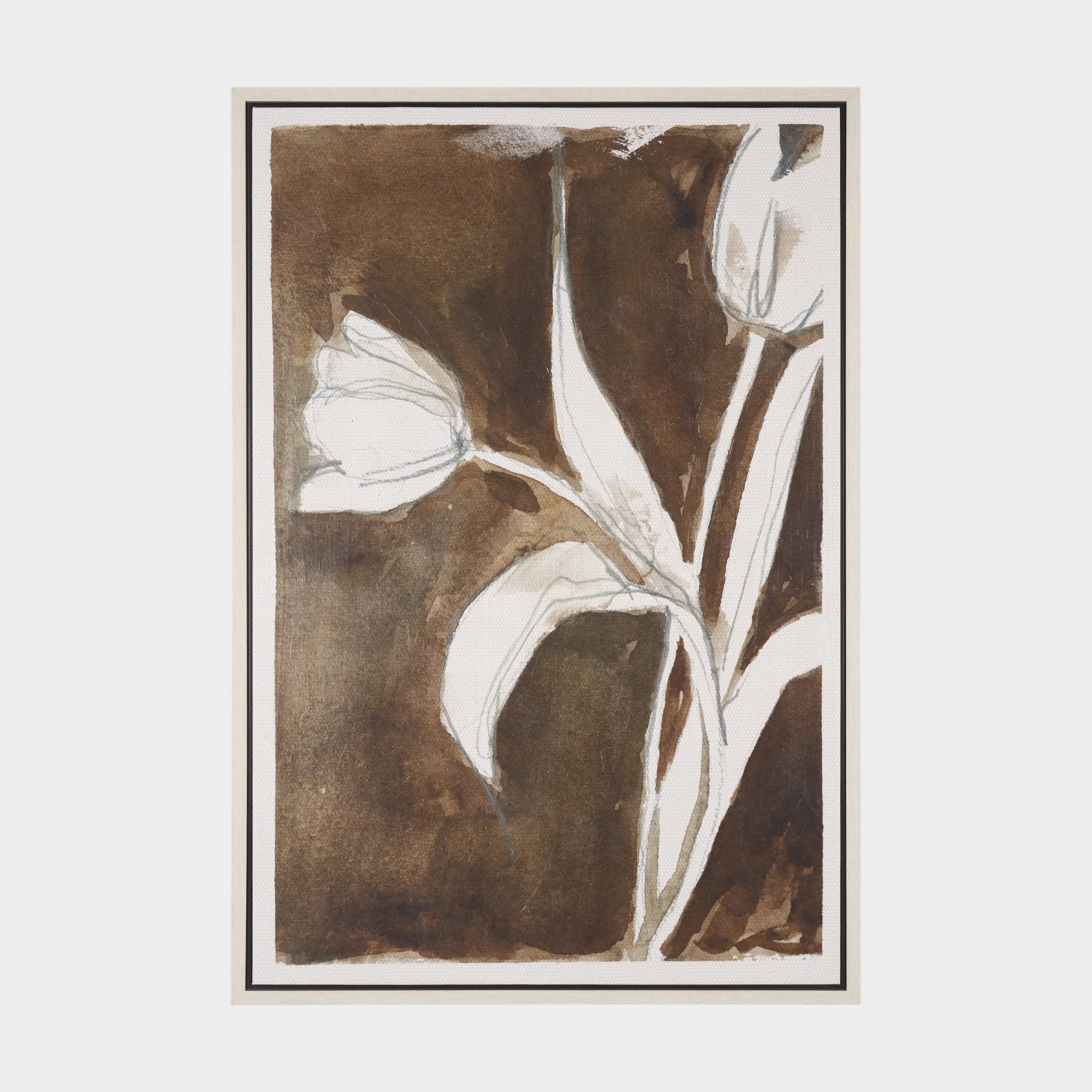 Tulip Bloom Canvas Series