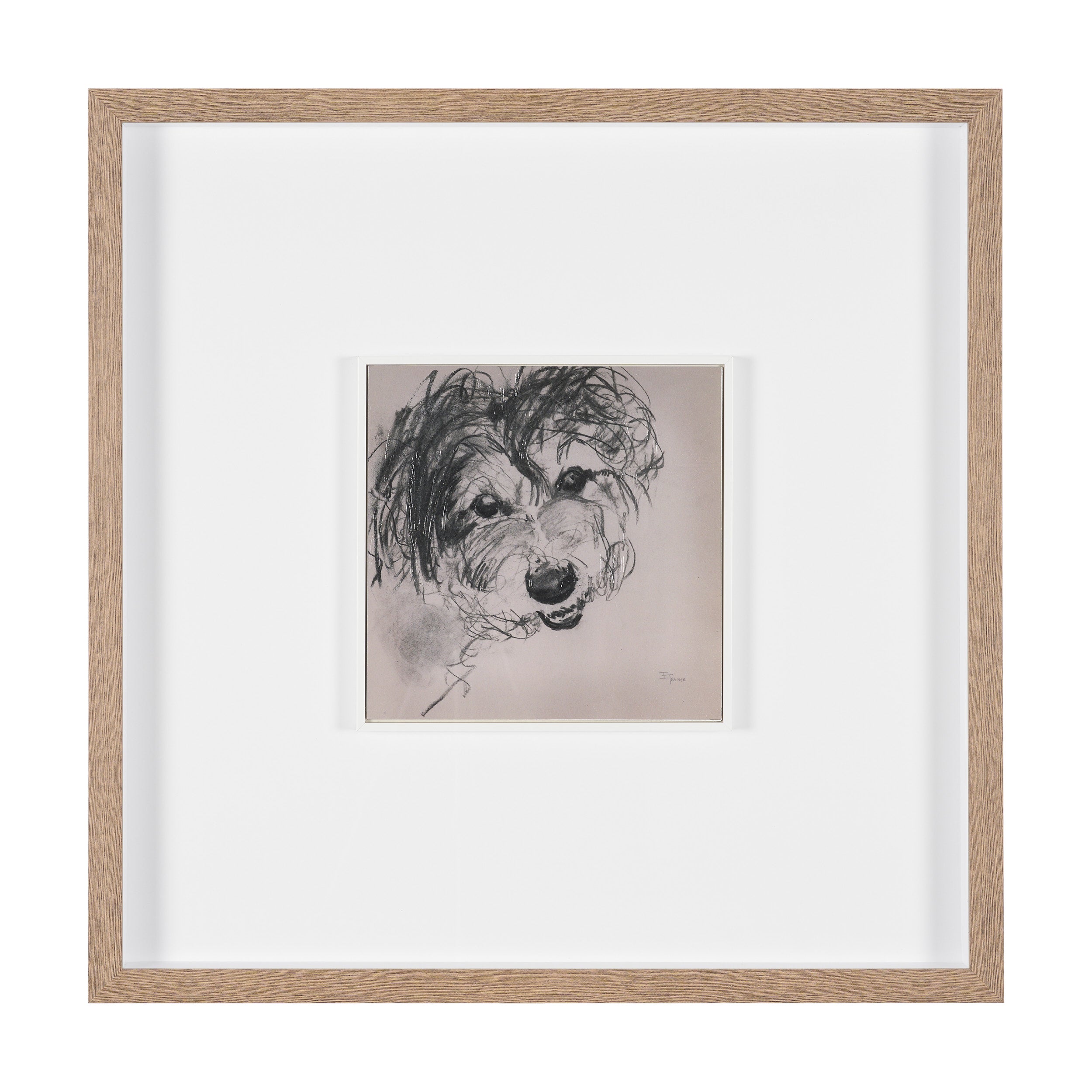 Canine Sketches Framed Series
