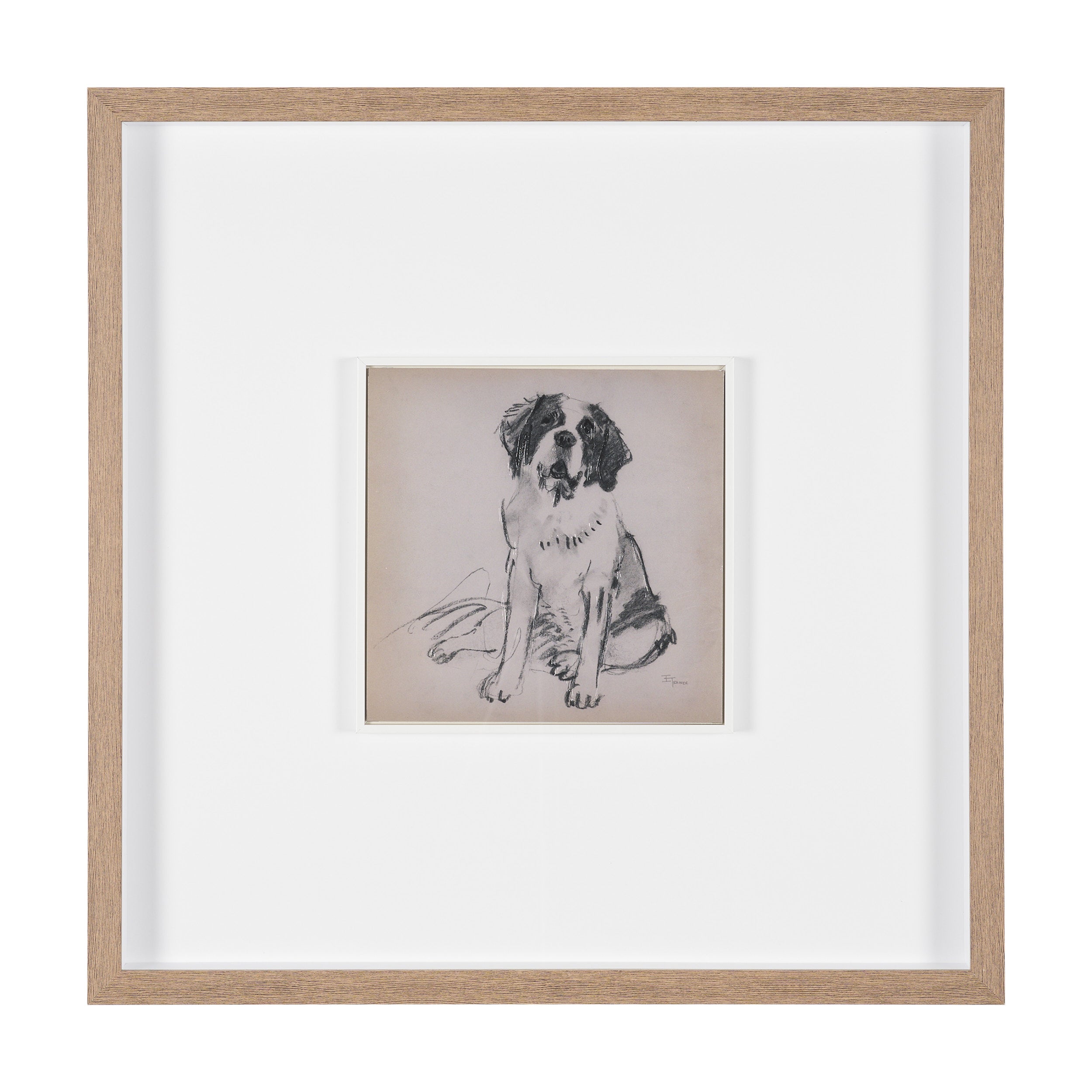 Canine Sketches Framed Series