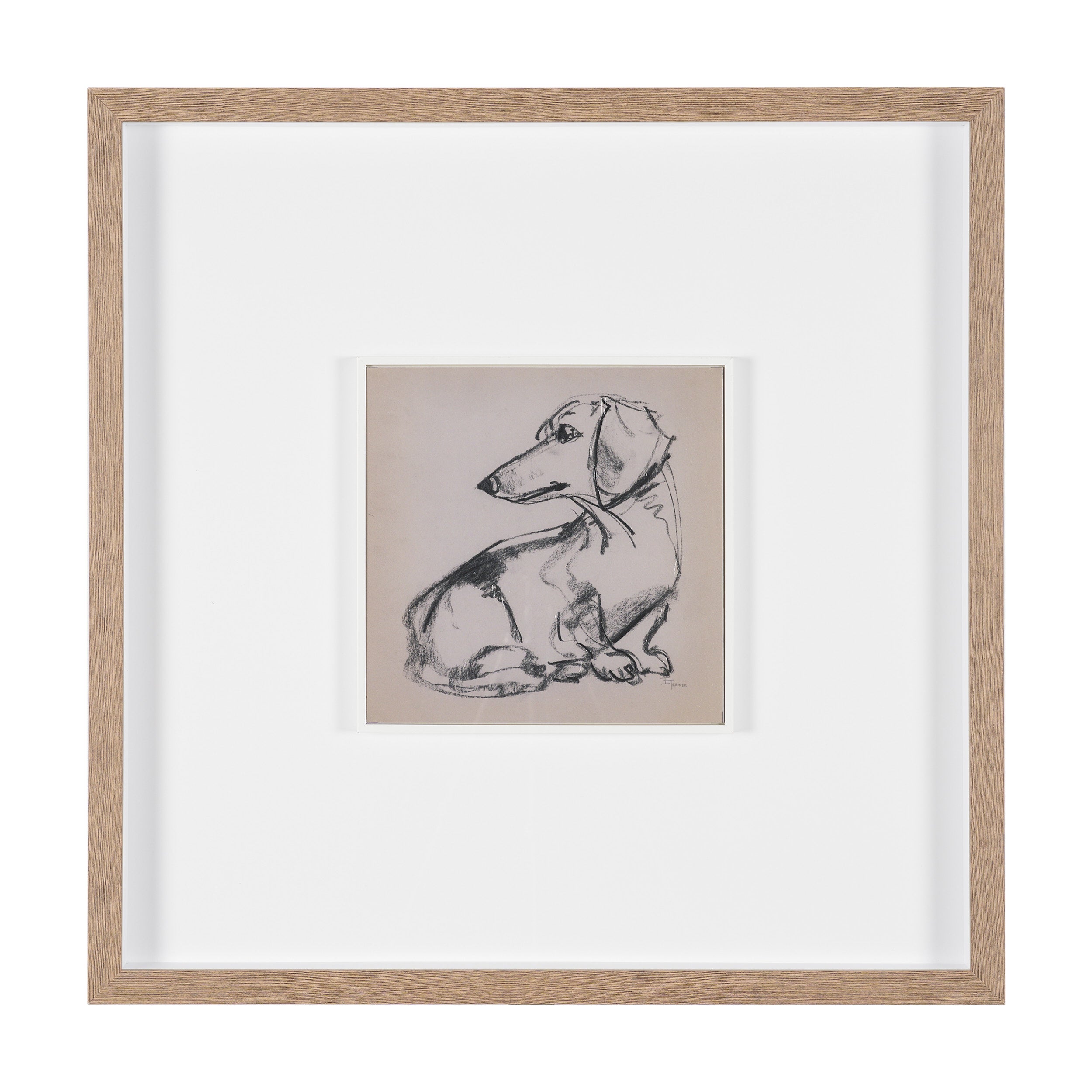 Canine Sketches Framed Series