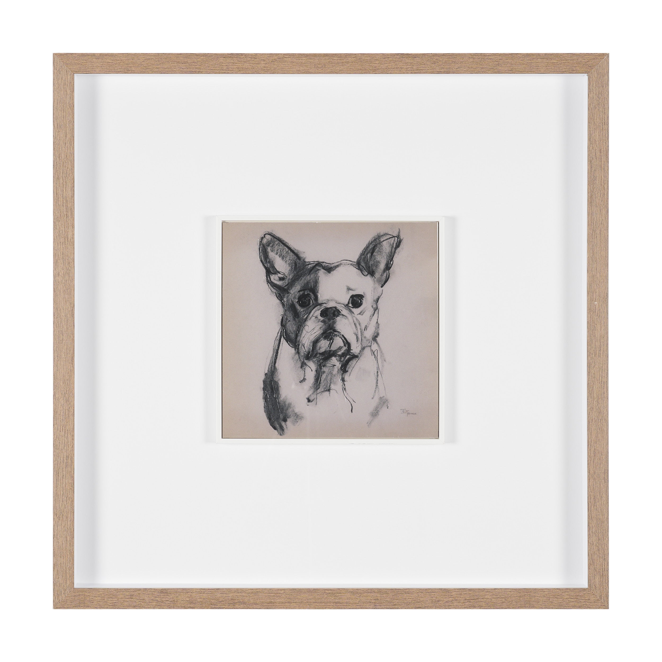 Canine Sketches Framed Series