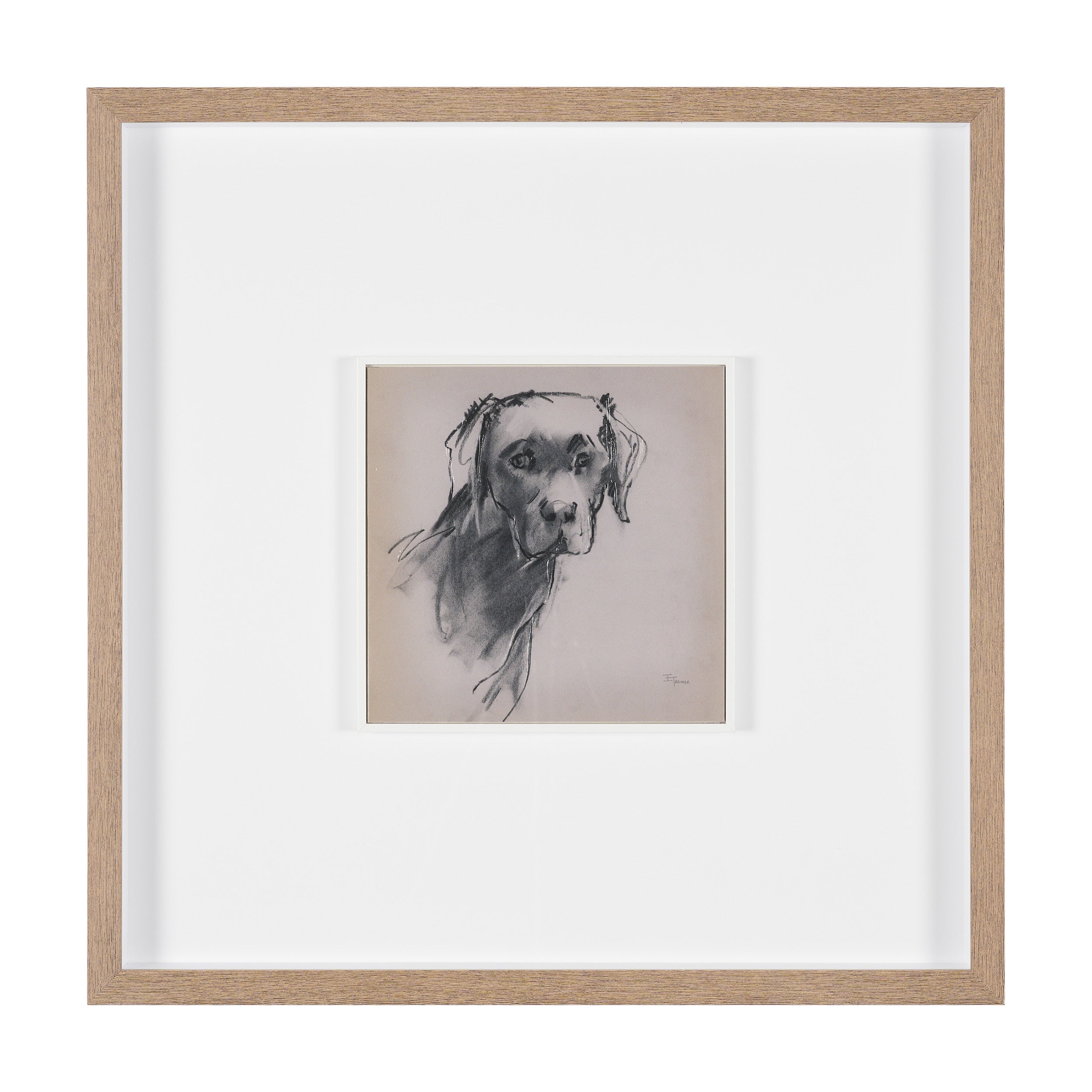 Canine Sketches Framed Series