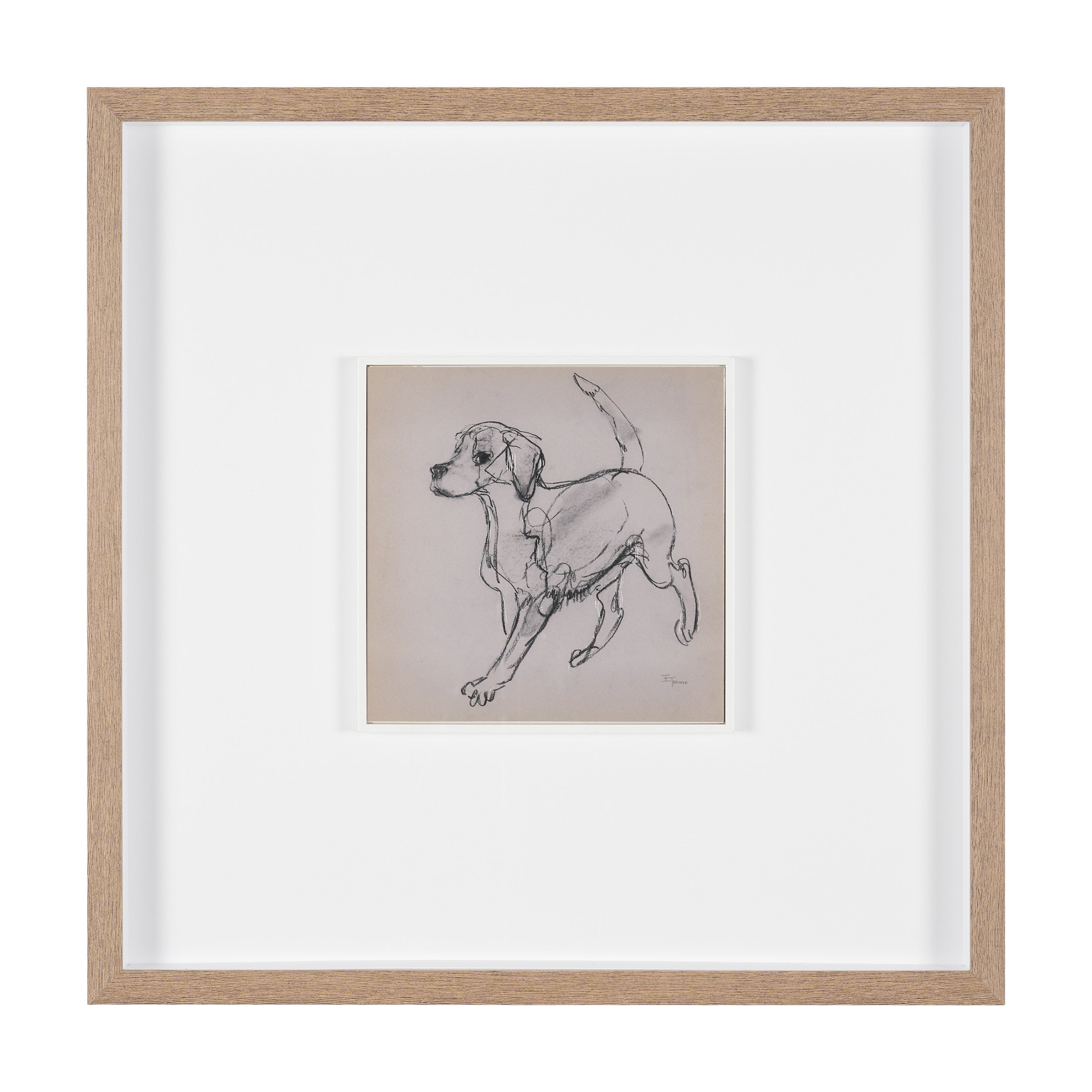 Canine Sketches Framed Series