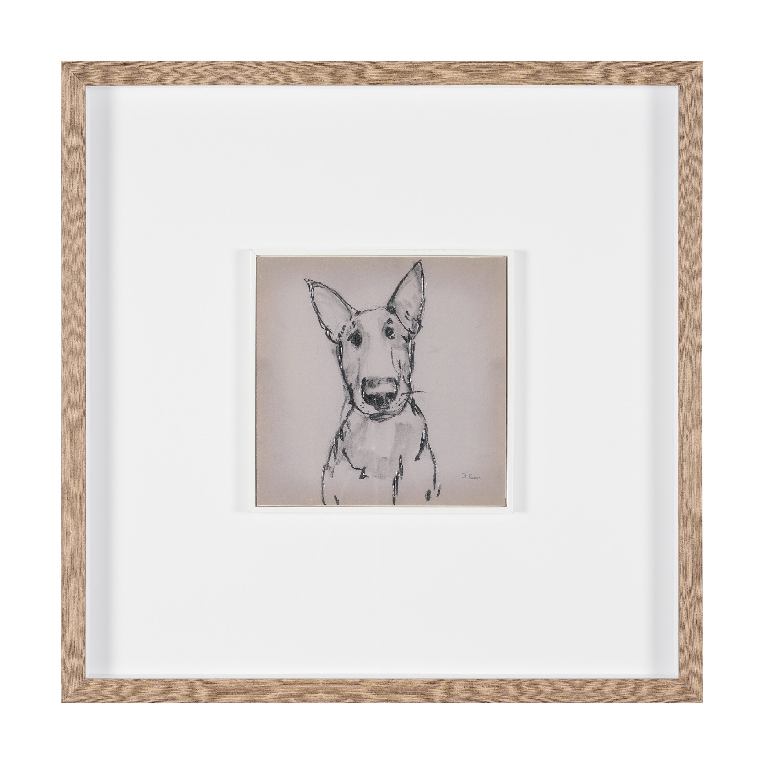 Canine Sketches Framed Series