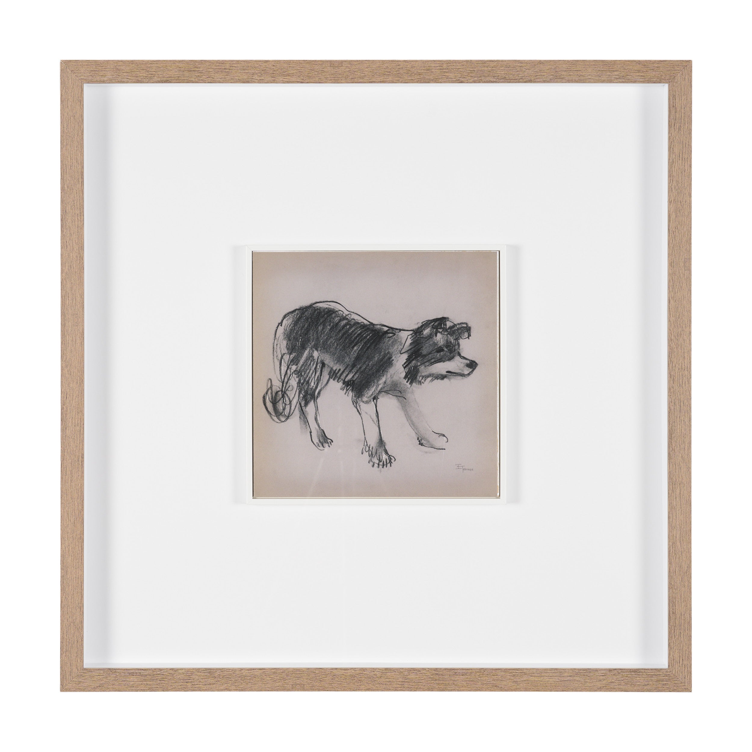 Canine Sketches Framed Series