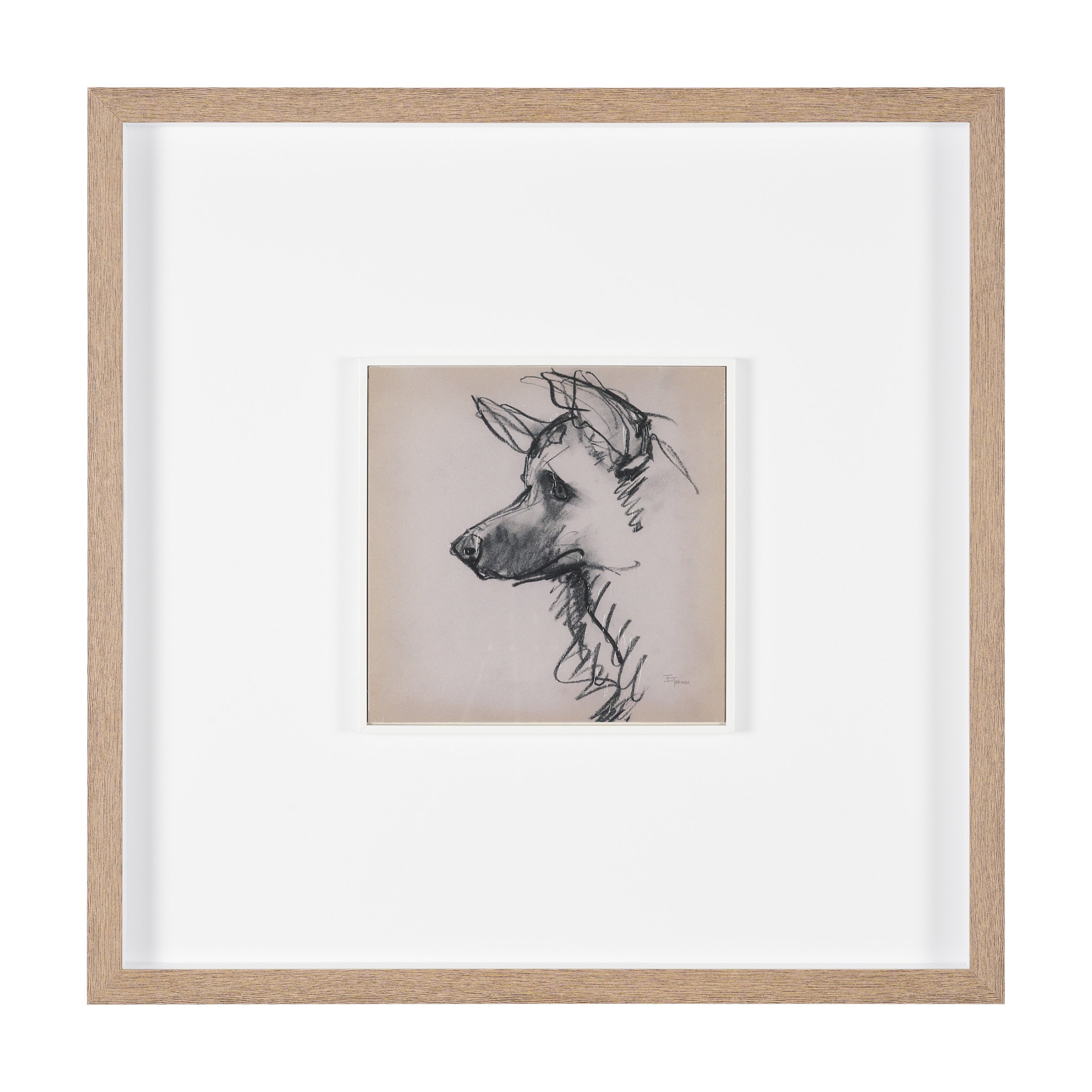 Canine Sketches Framed Series