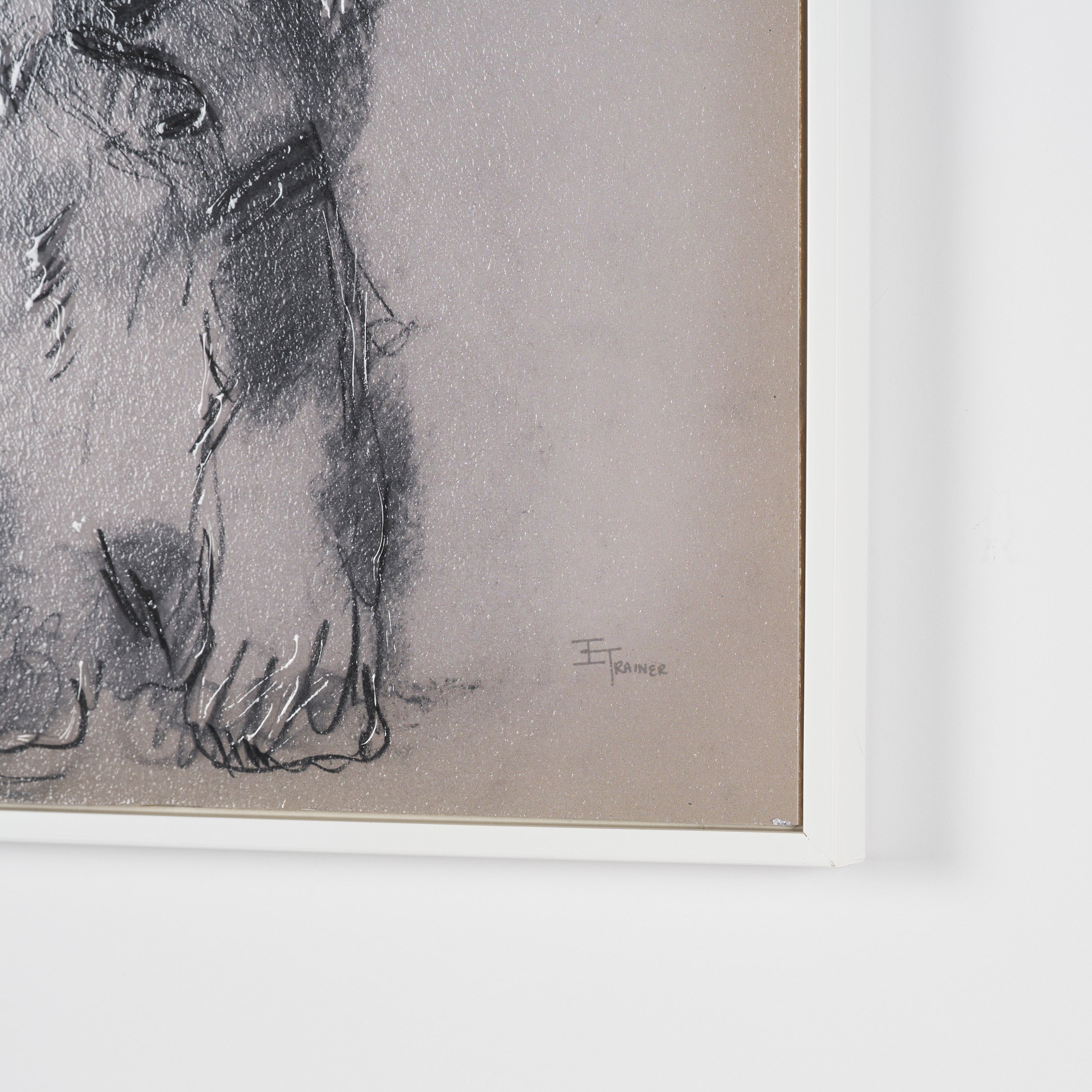 Canine Sketches Framed Series