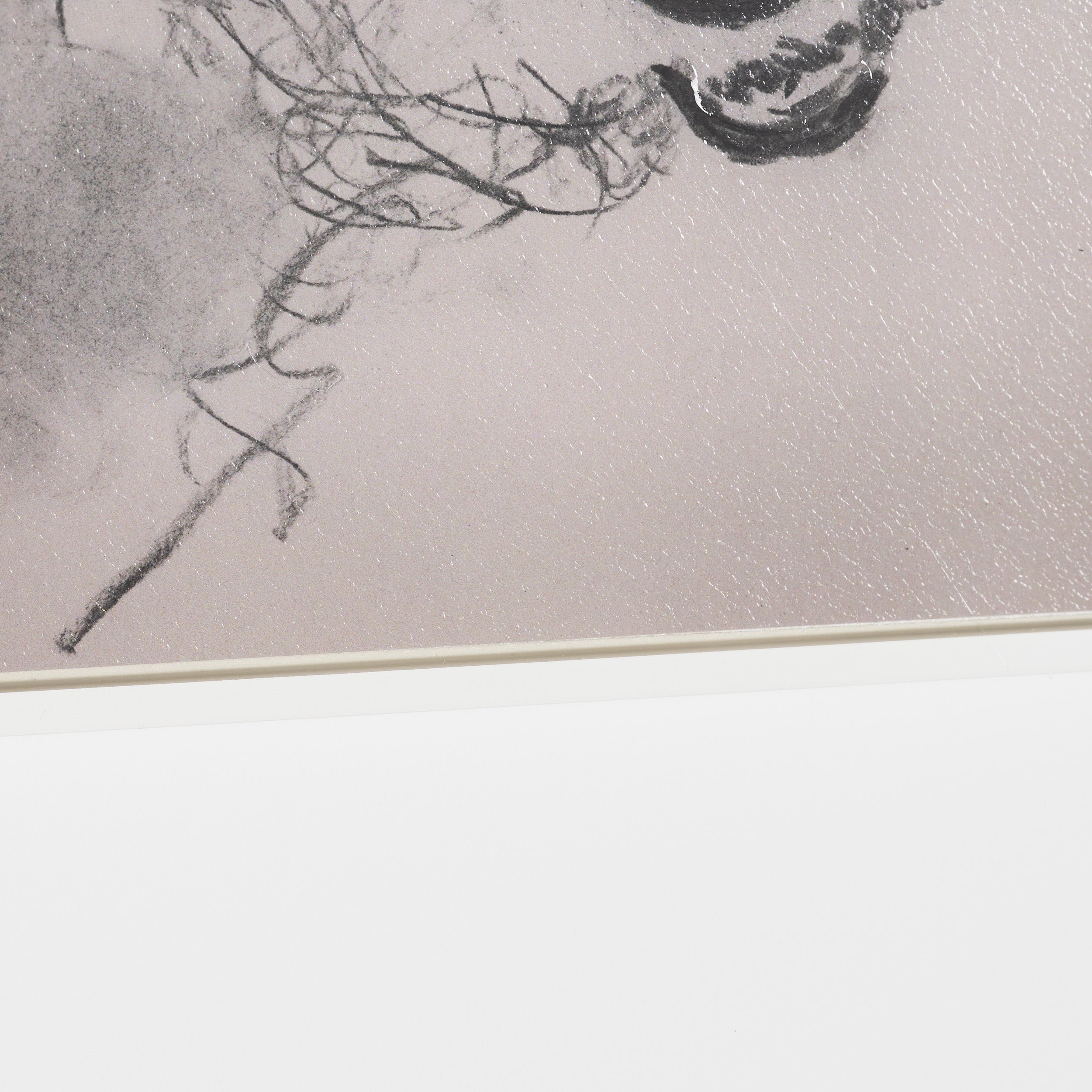 Canine Sketches Framed Series