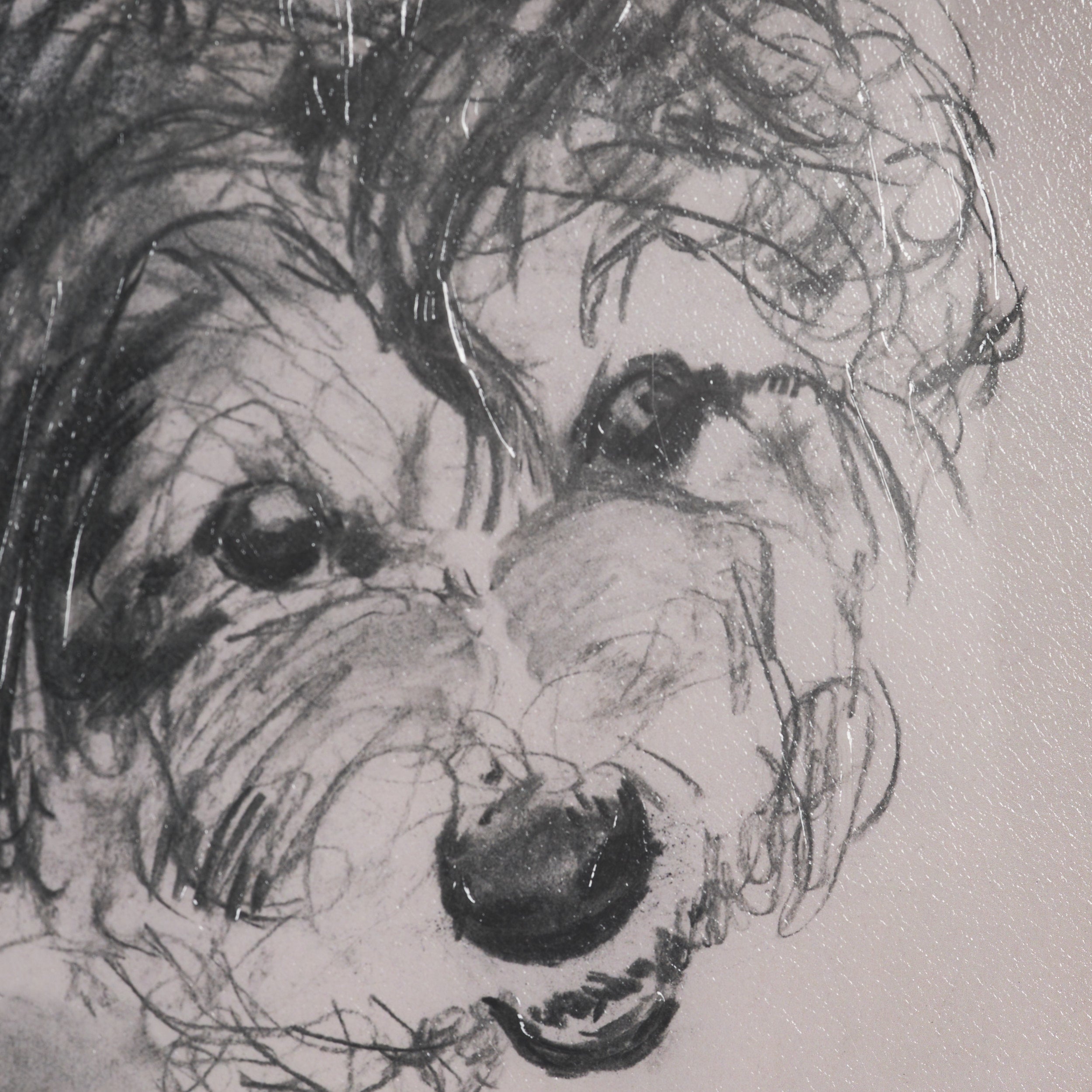 Canine Sketches Framed Series