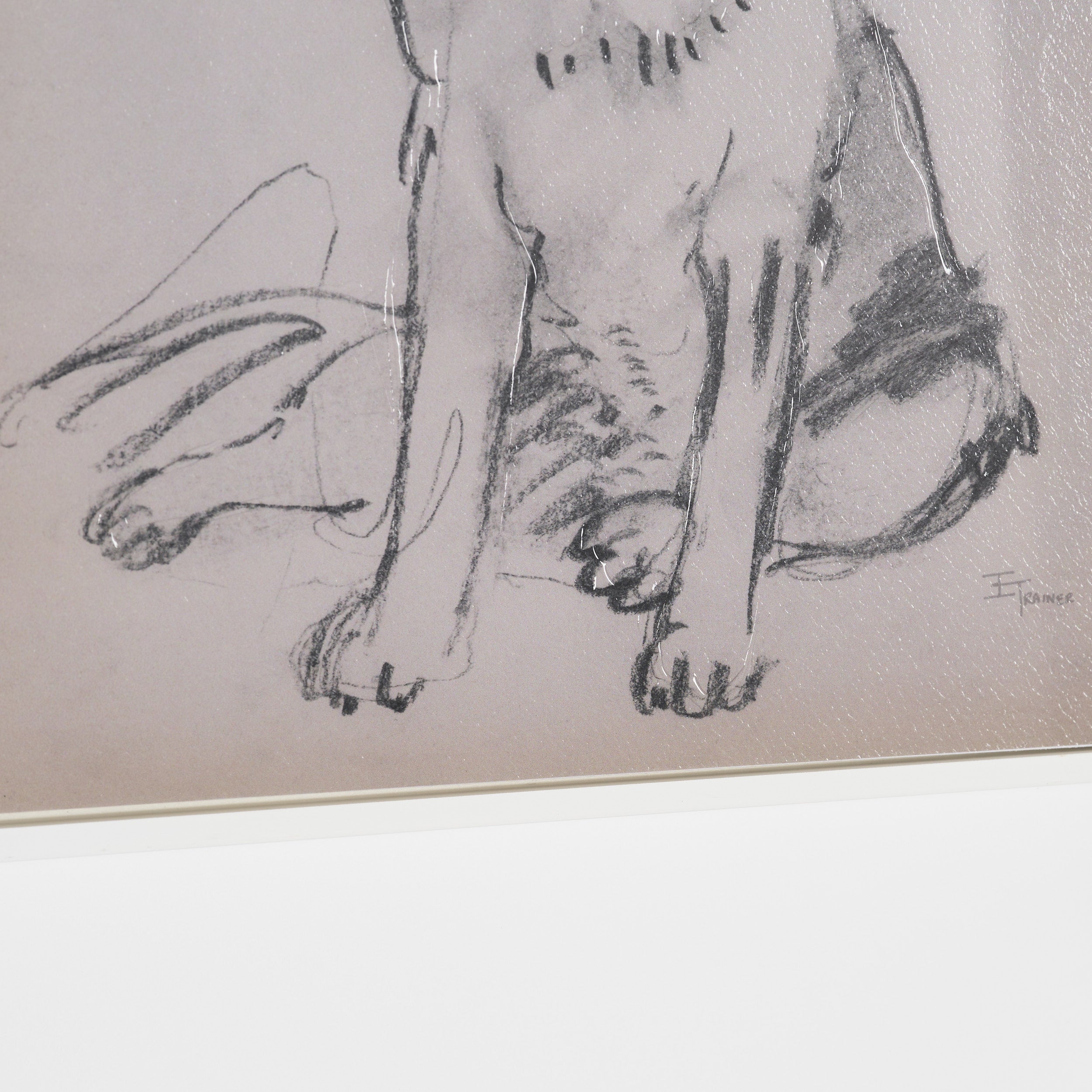 Canine Sketches Framed Series