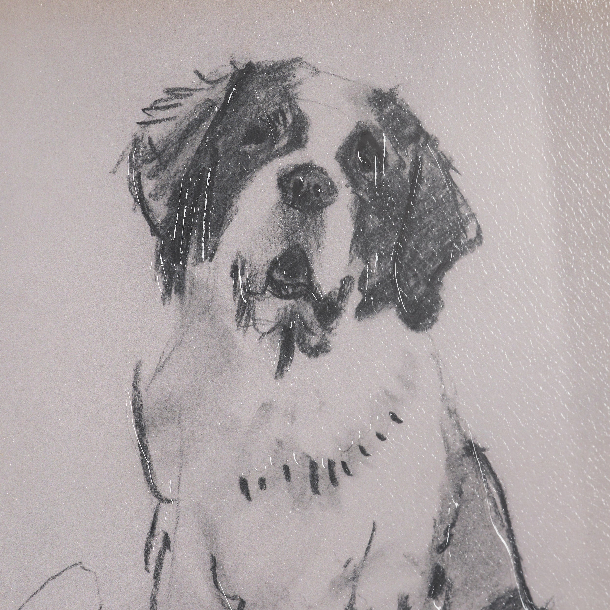 Canine Sketches Framed Series