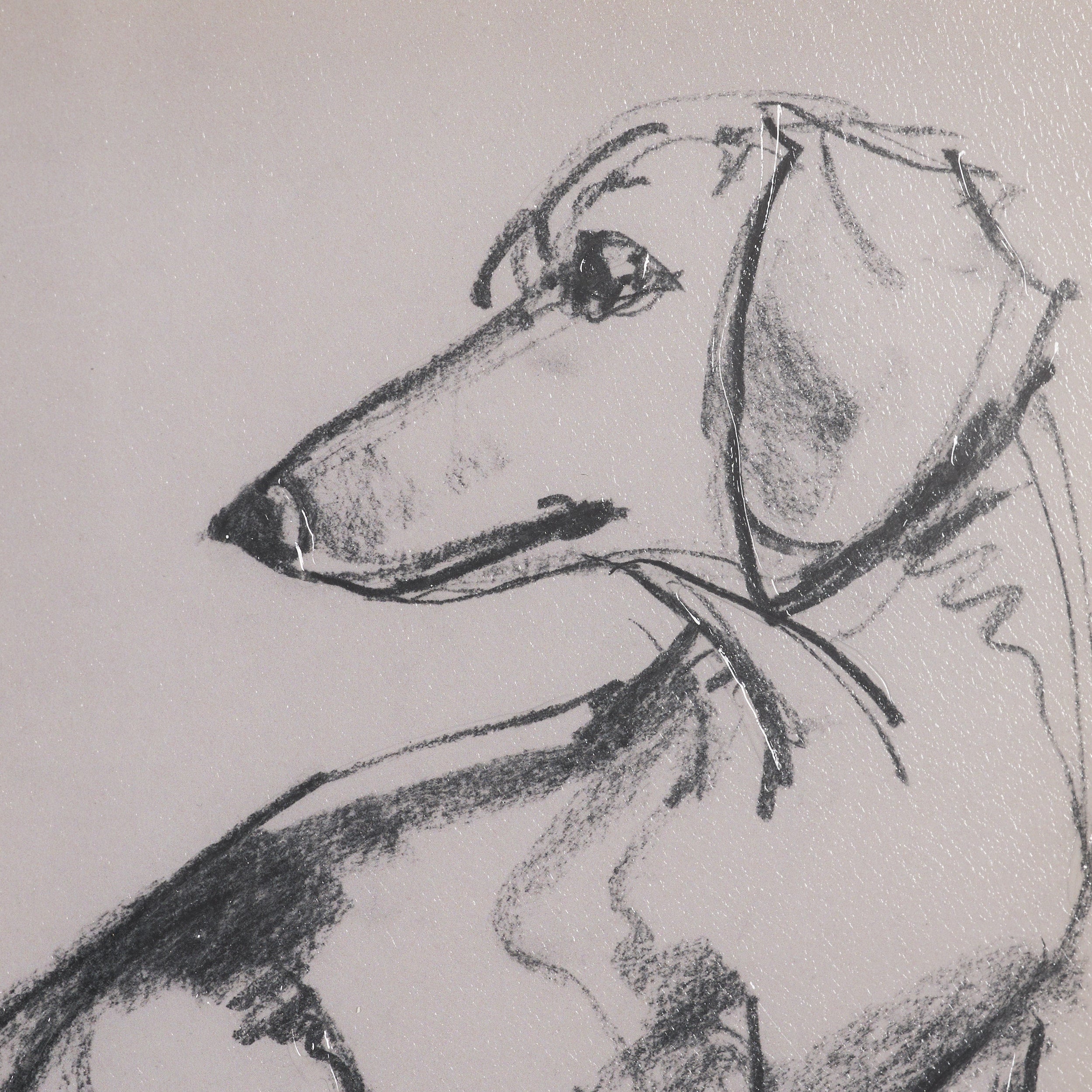 Canine Sketches Framed Series