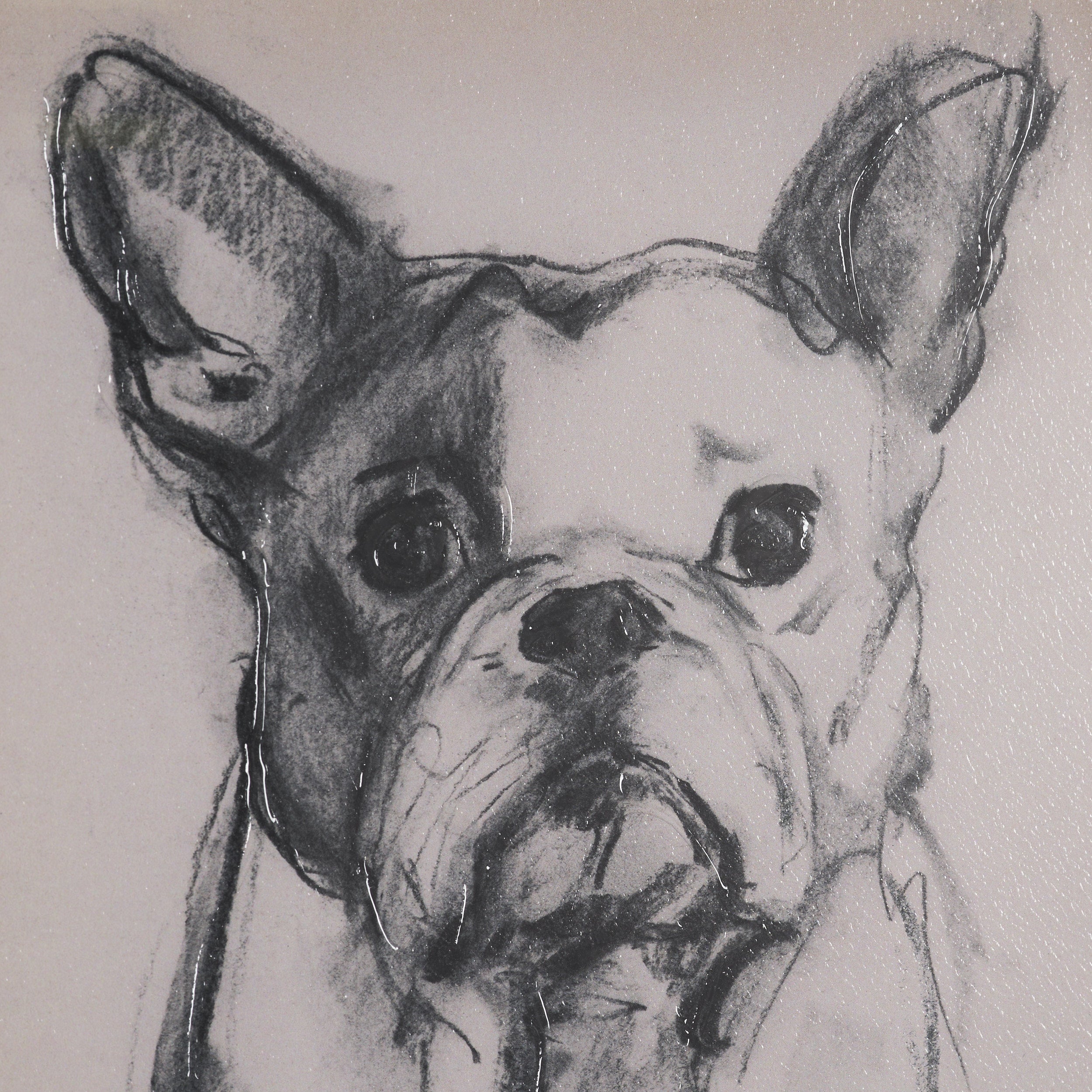 Canine Sketches Framed Series