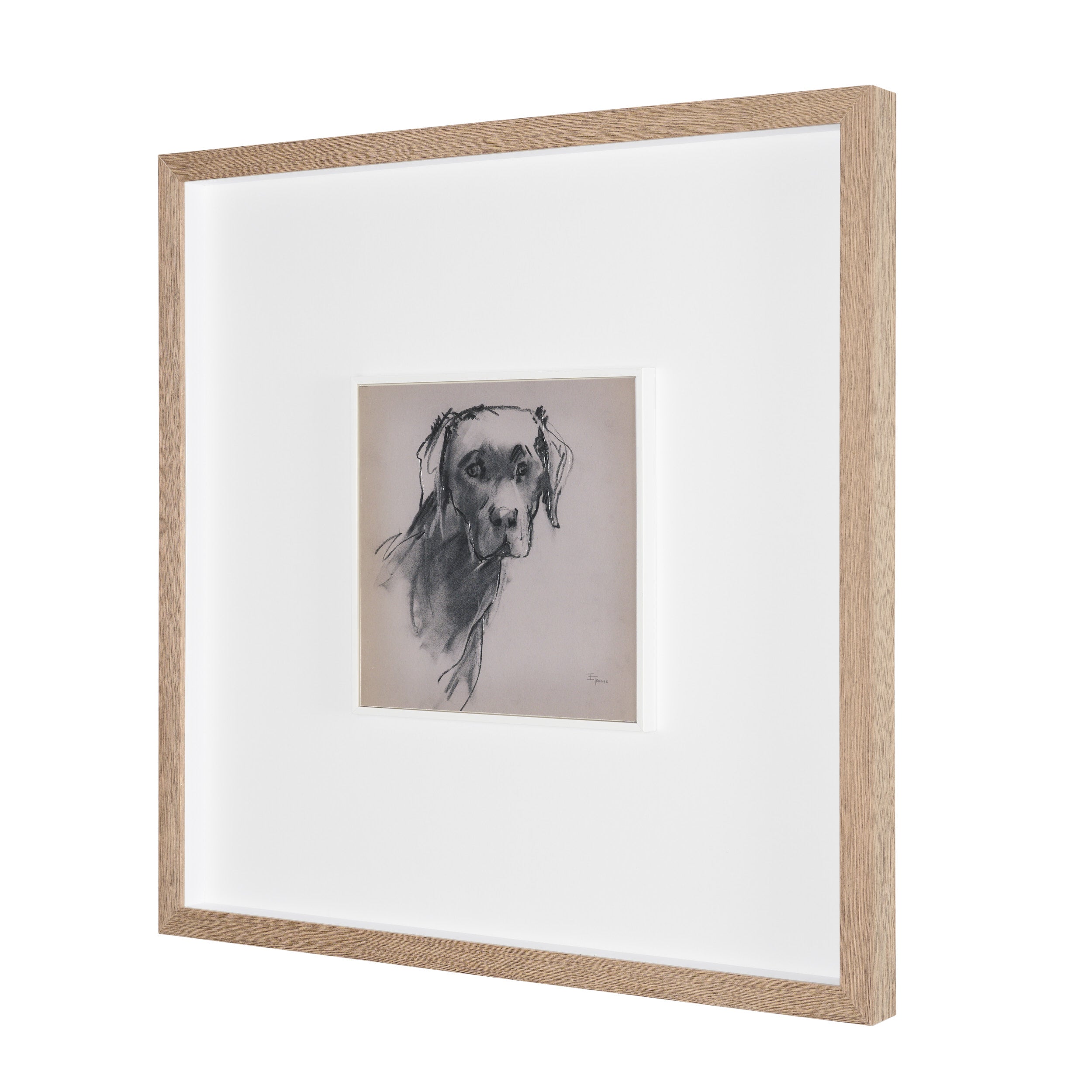 Canine Sketches Framed Series