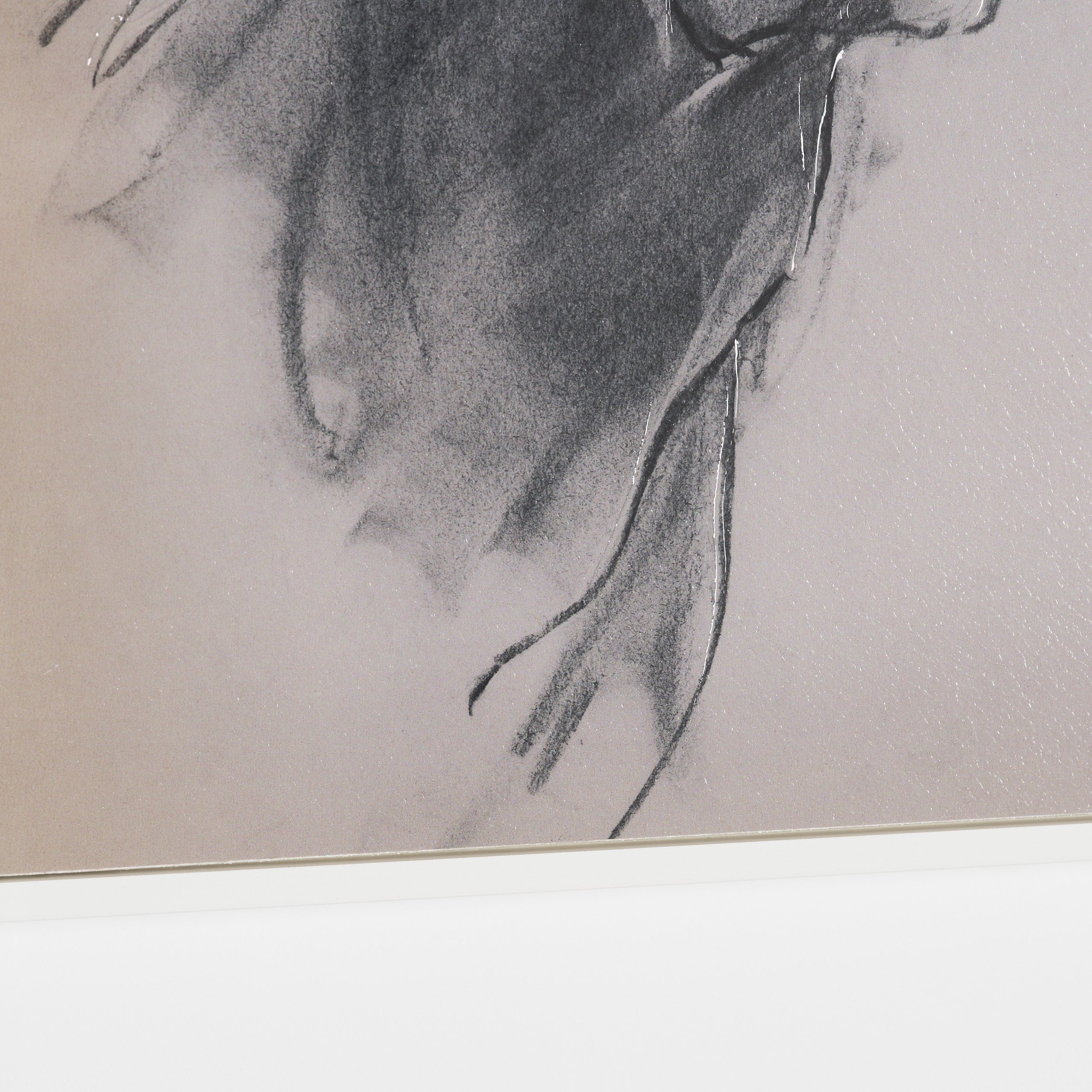 Canine Sketches Framed Series