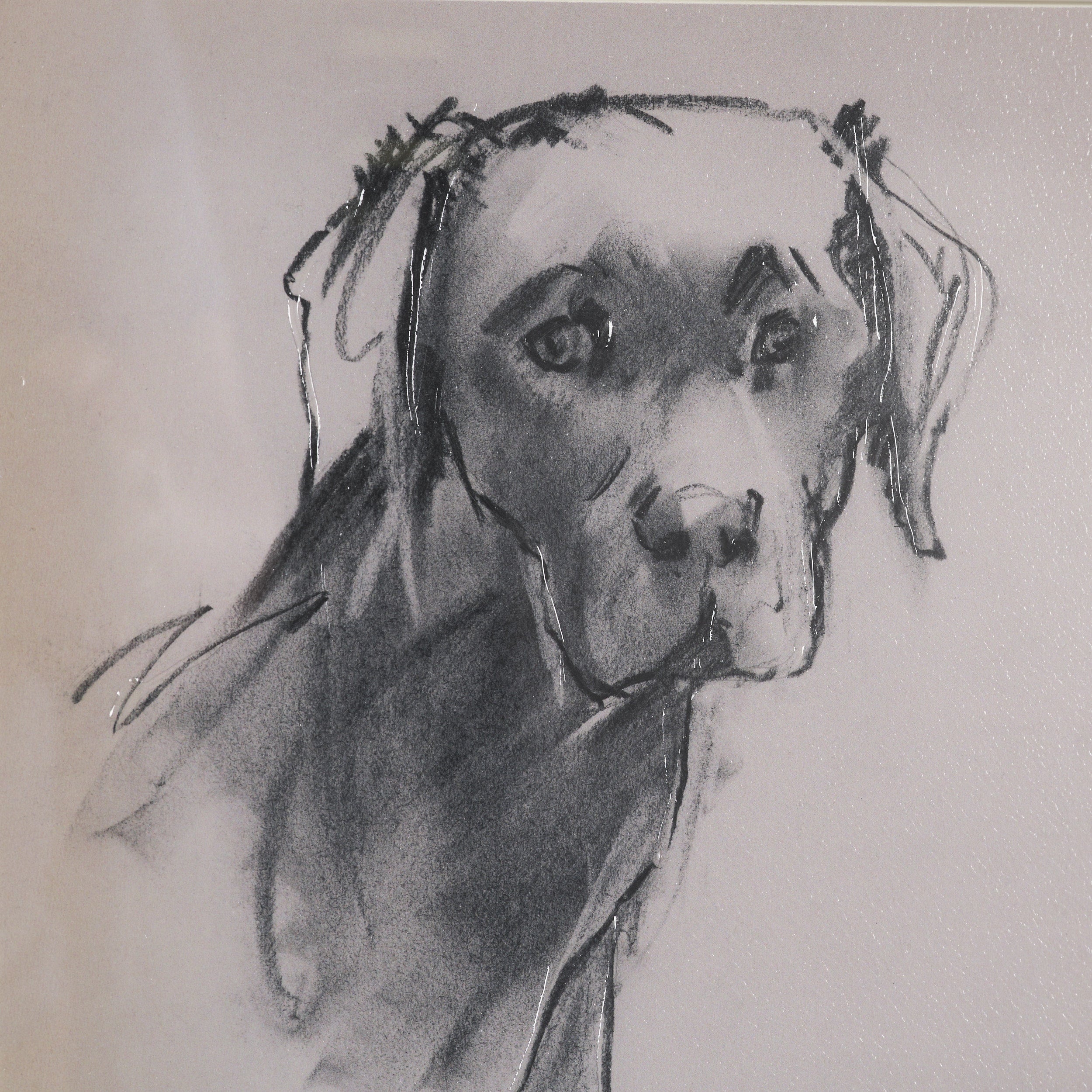 Canine Sketches Framed Series