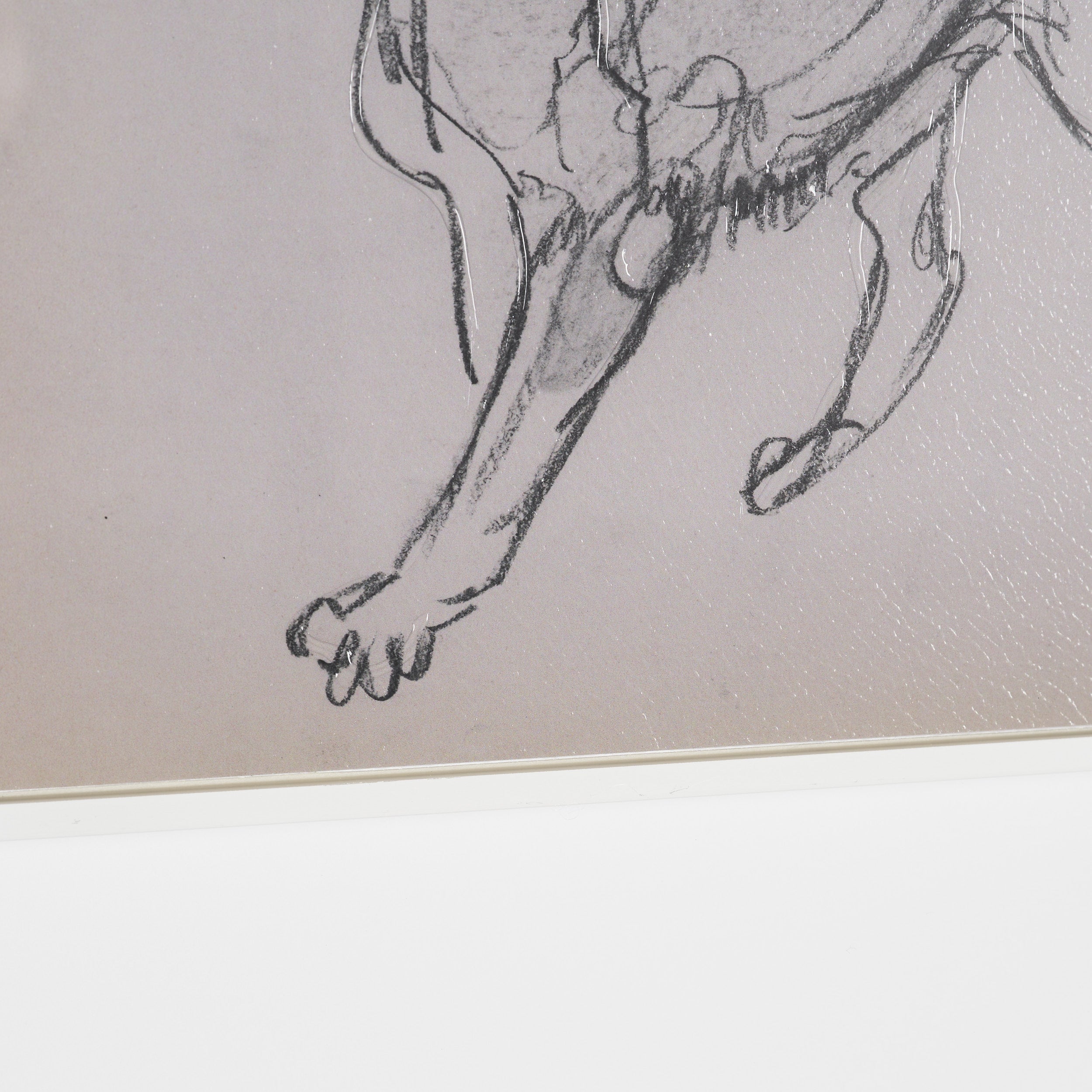 Canine Sketches Framed Series