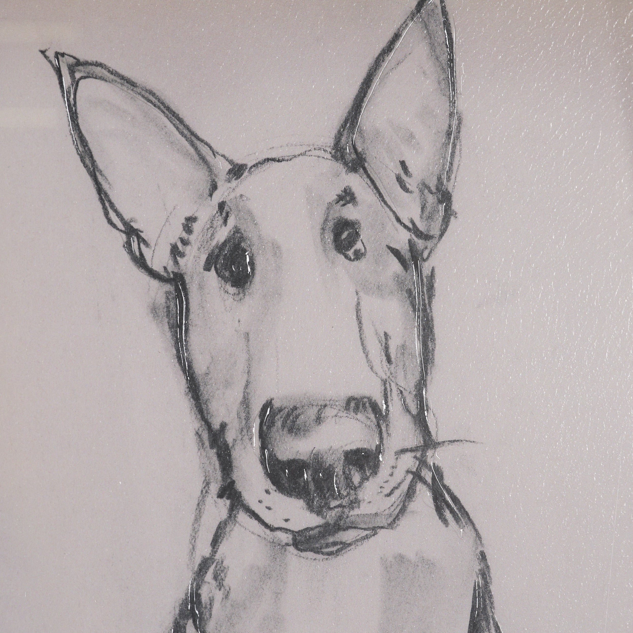 Canine Sketches Framed Series