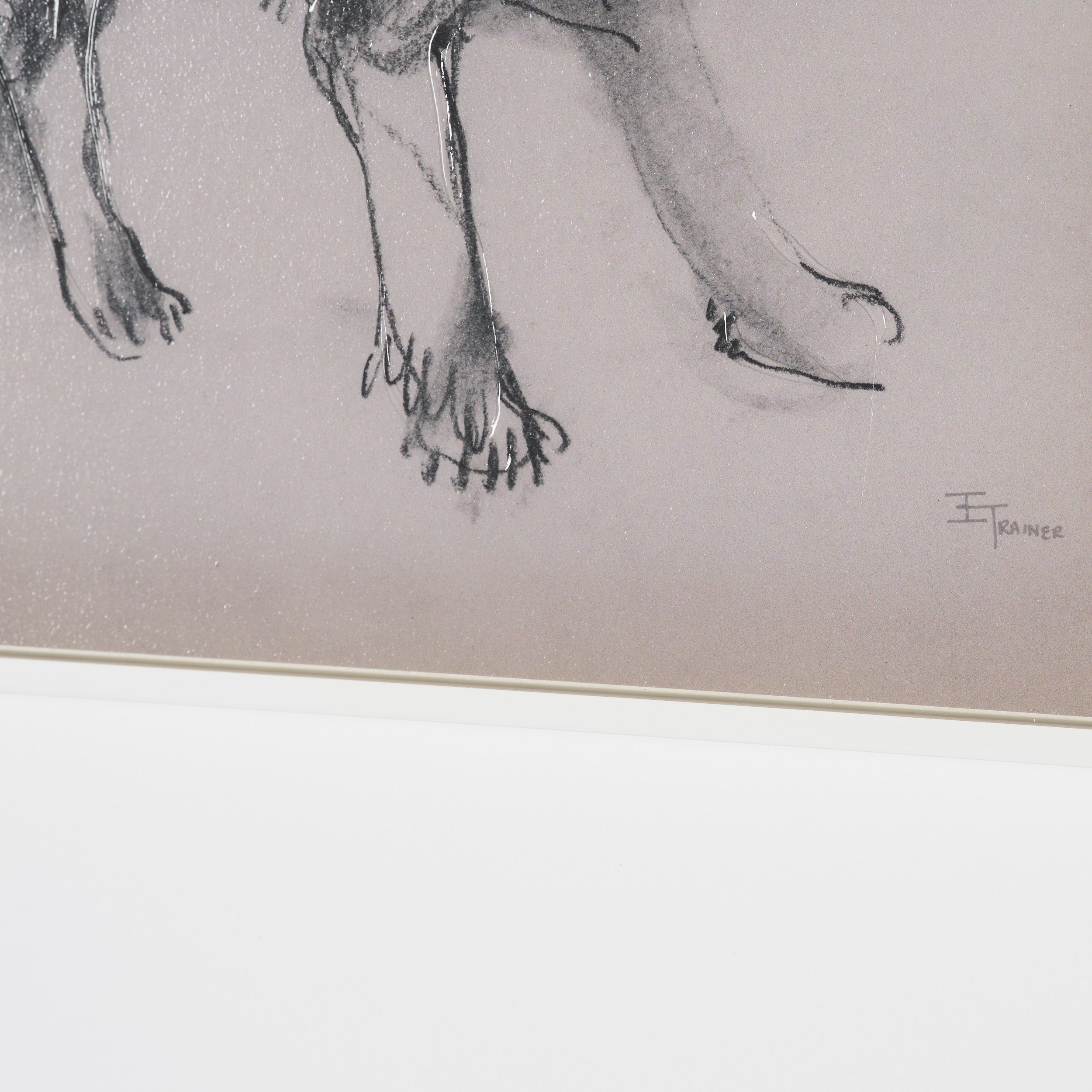 Canine Sketches Framed Series