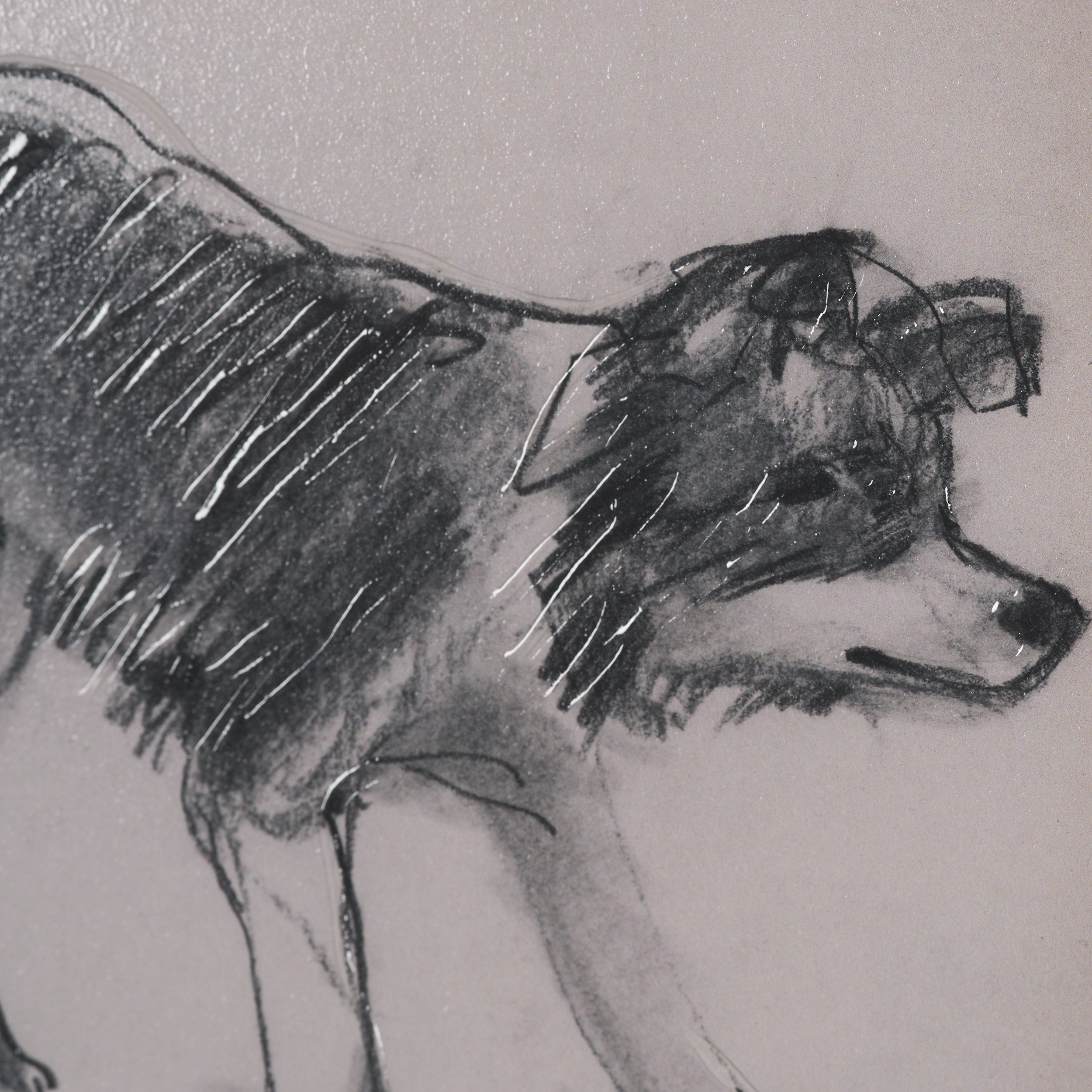 Canine Sketches Framed Series