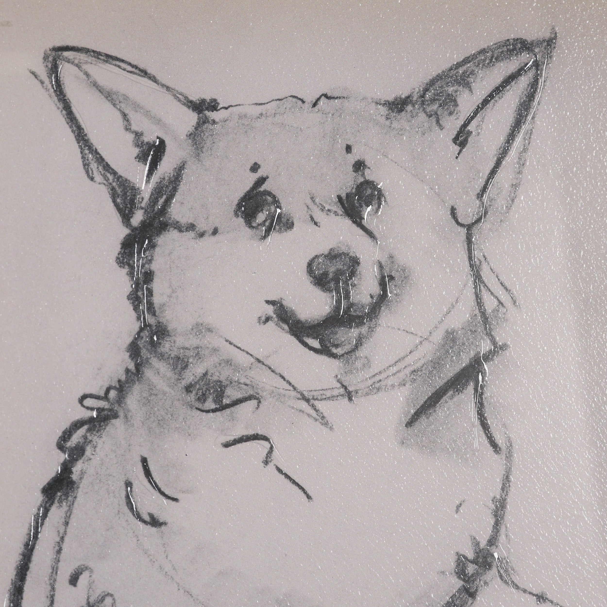 Canine Sketches Framed Series