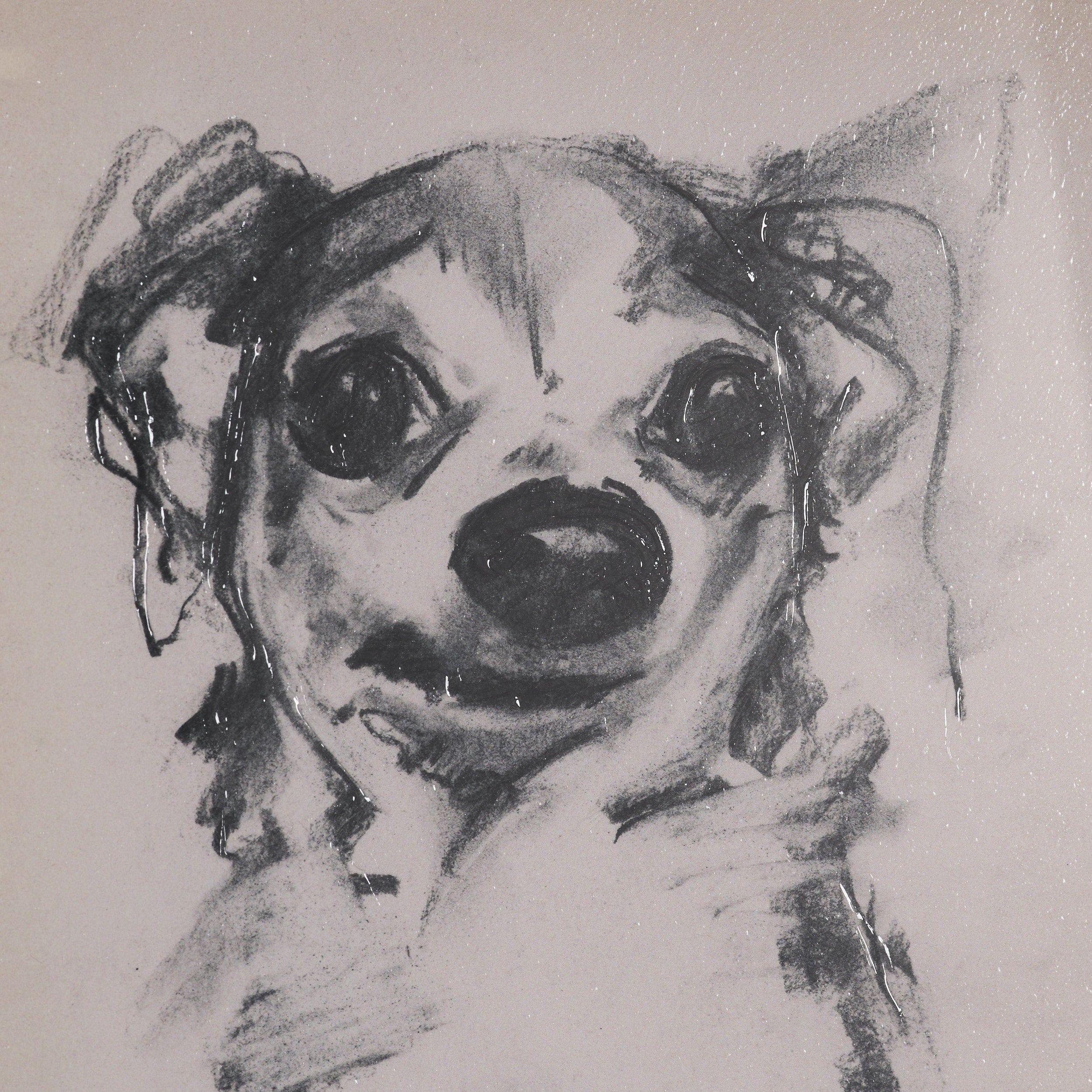 Canine Sketches Framed Series
