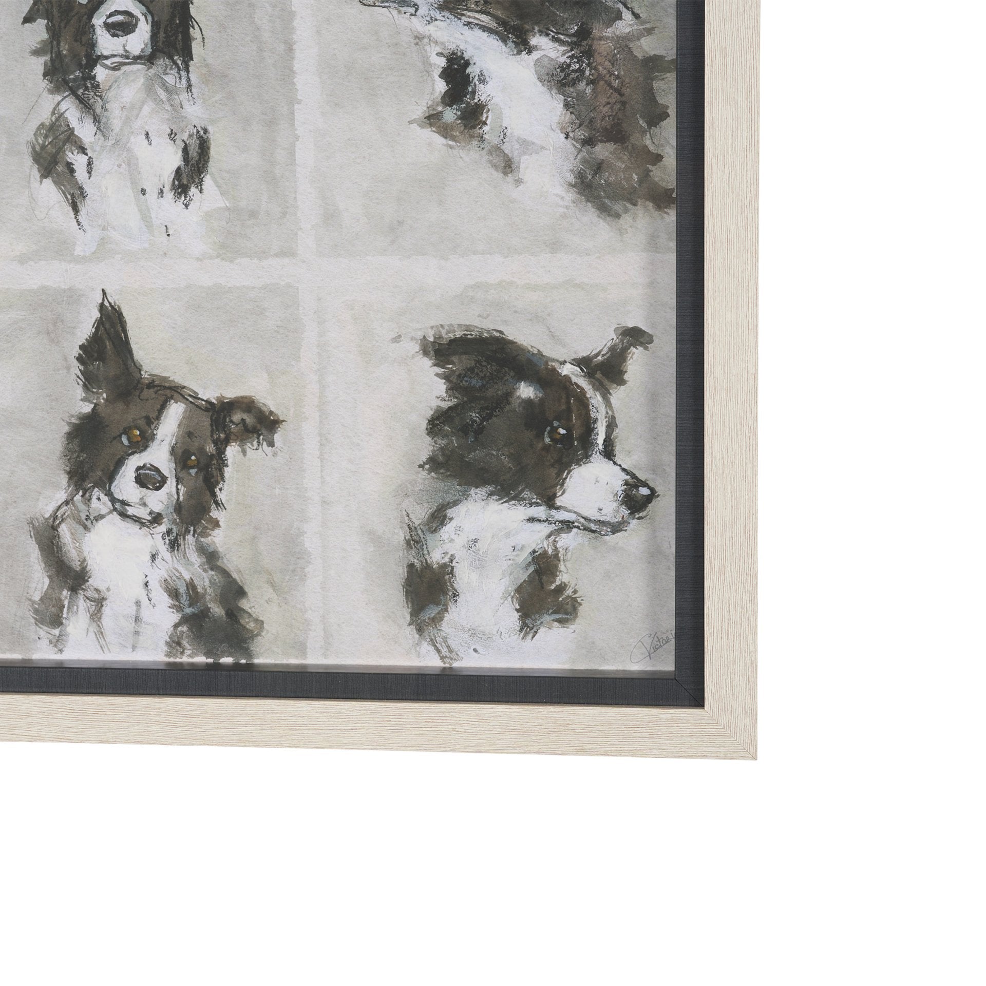 A Dogs Many Faces Framed Series