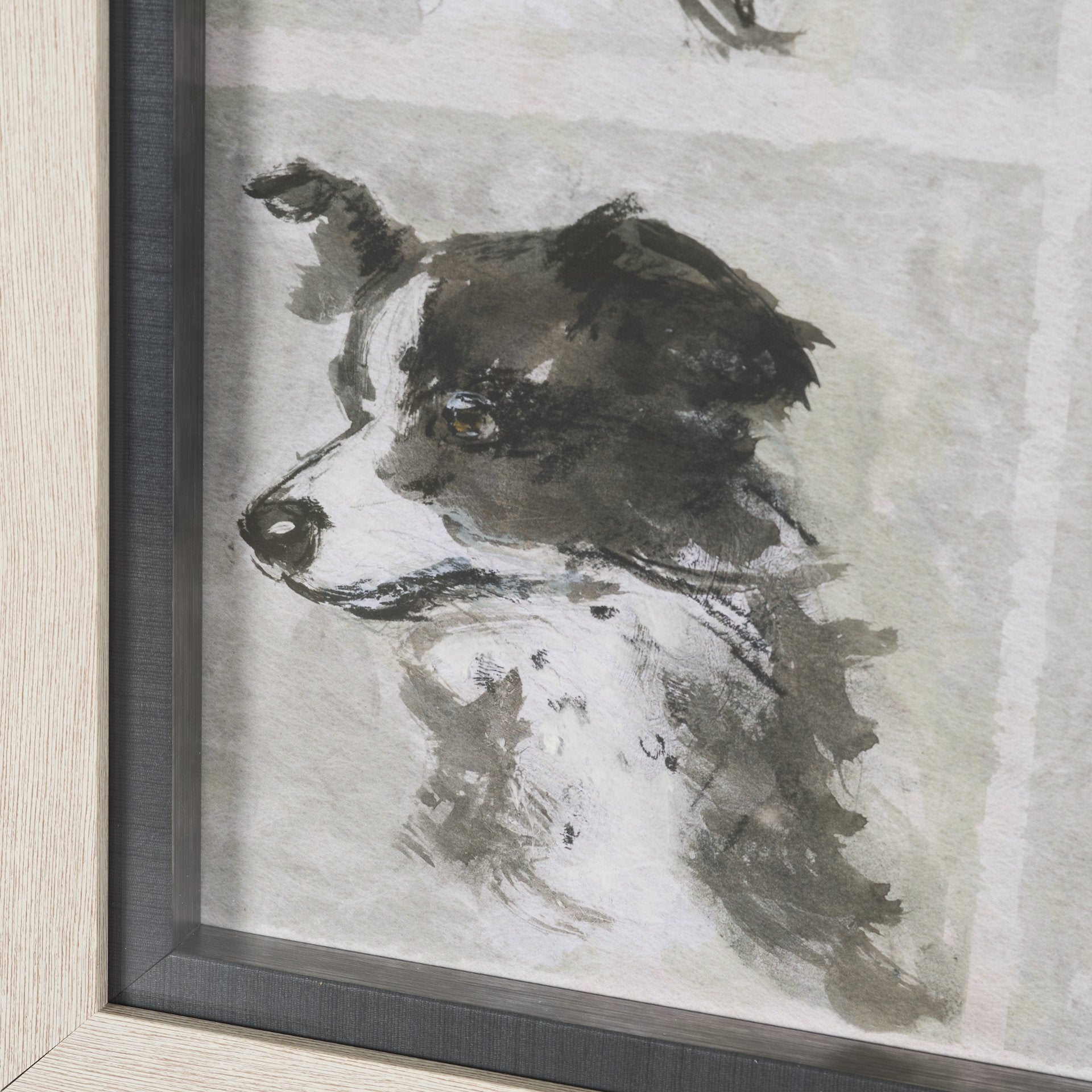 A Dogs Many Faces Framed Series