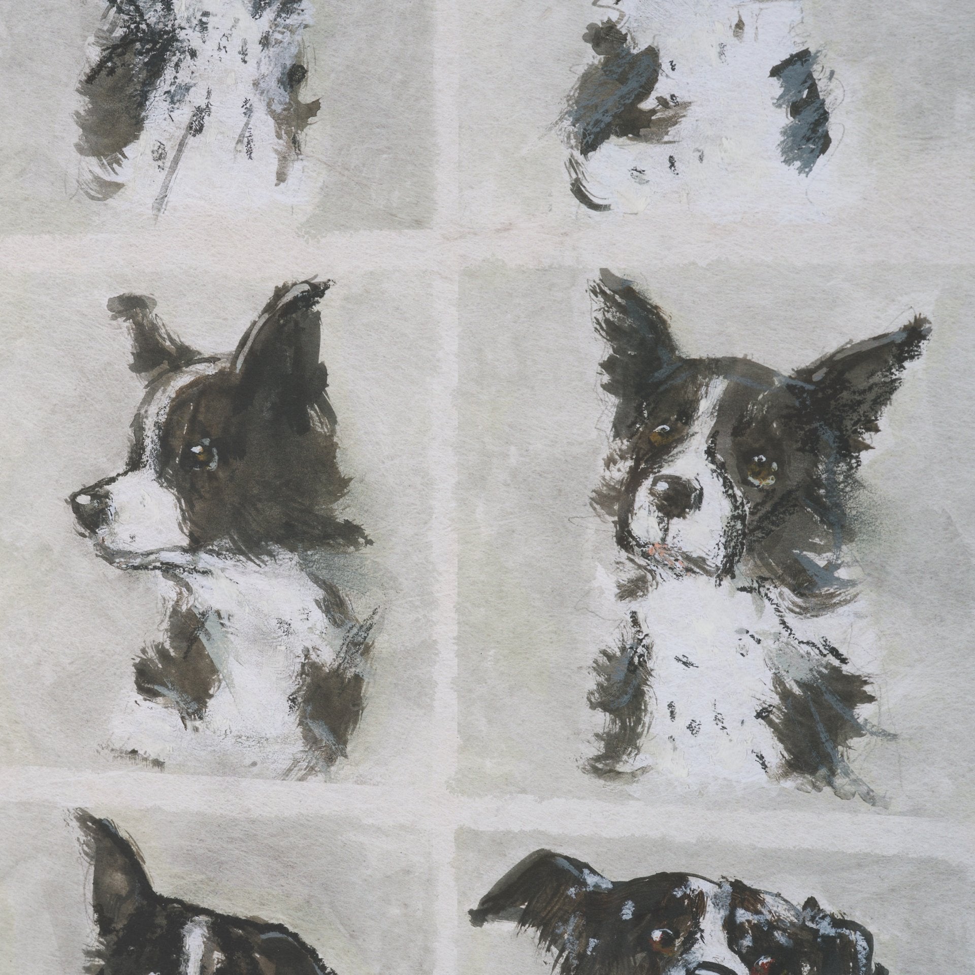 A Dogs Many Faces Framed Series