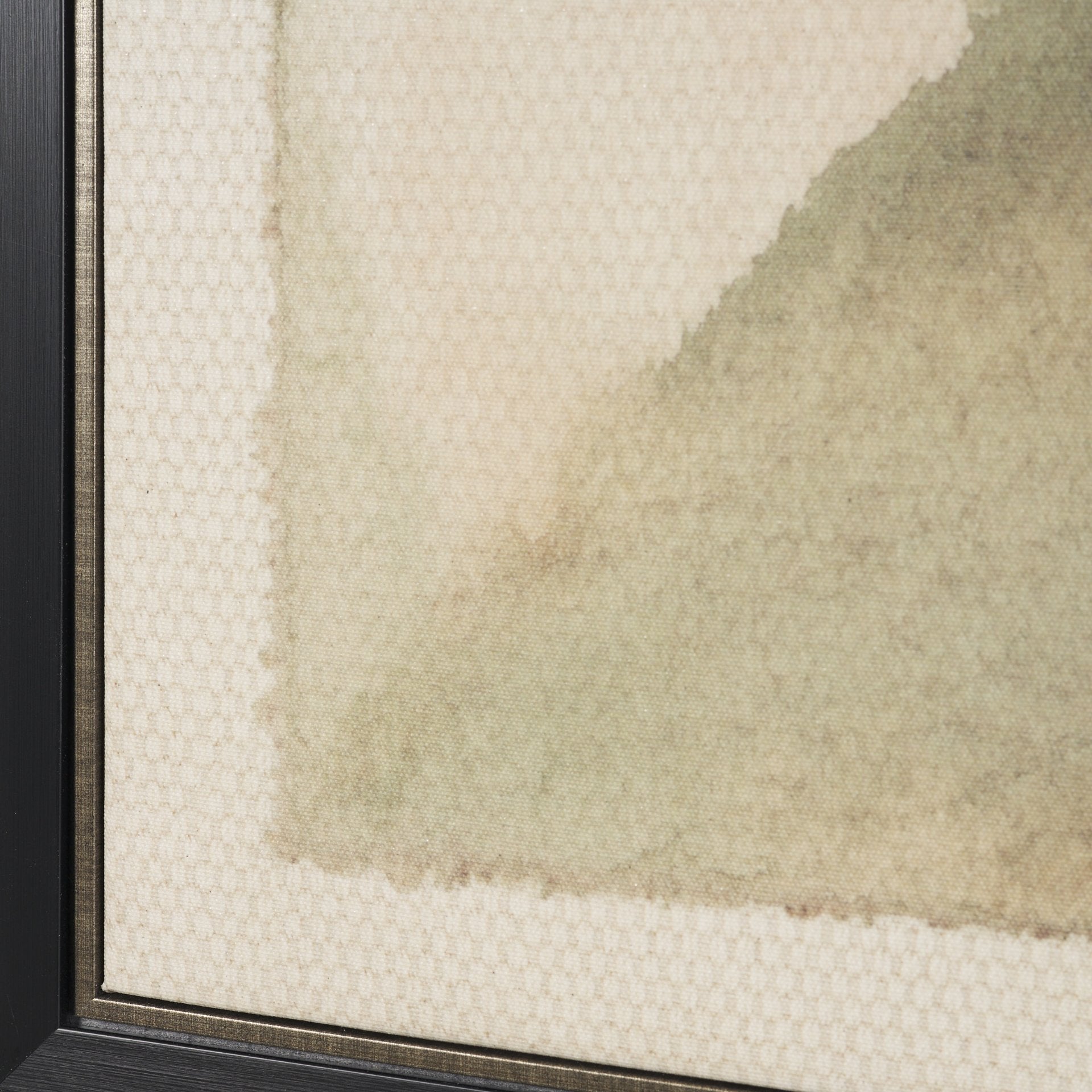 Aboreal Fade Canvas Series