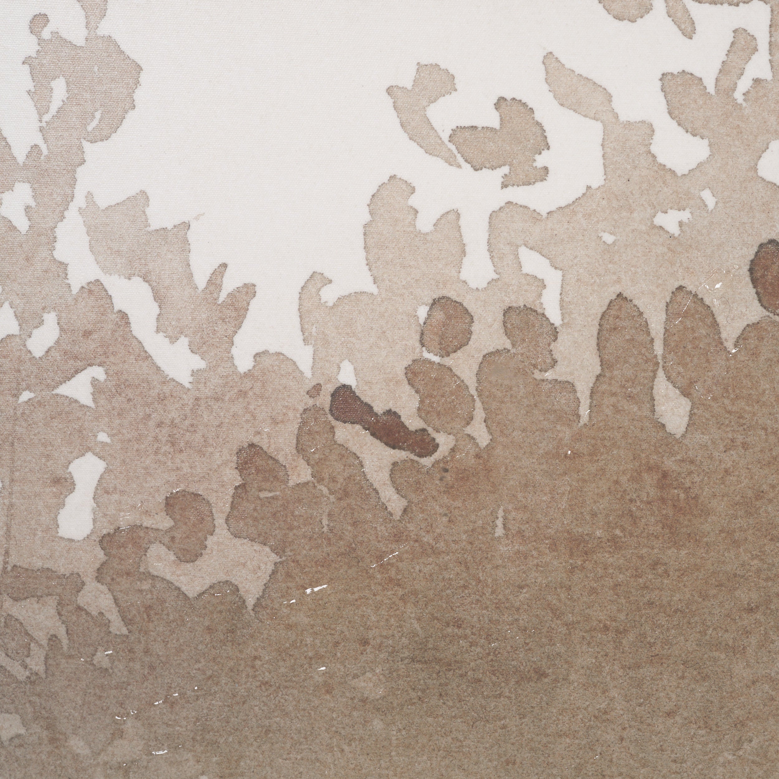 Lowland Fog Canvas Series