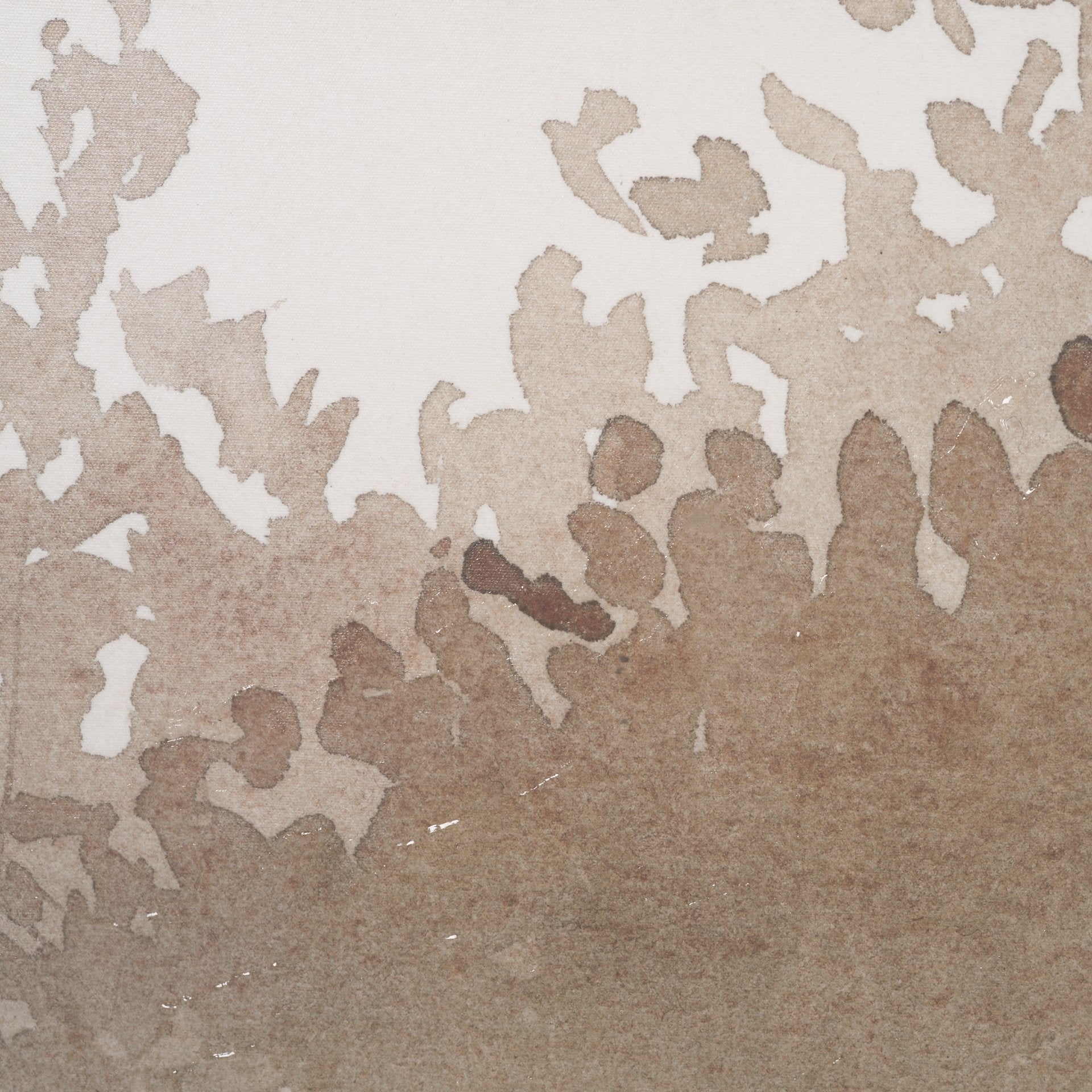 Lowland Fog Canvas Series