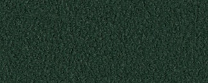 Swatch Image