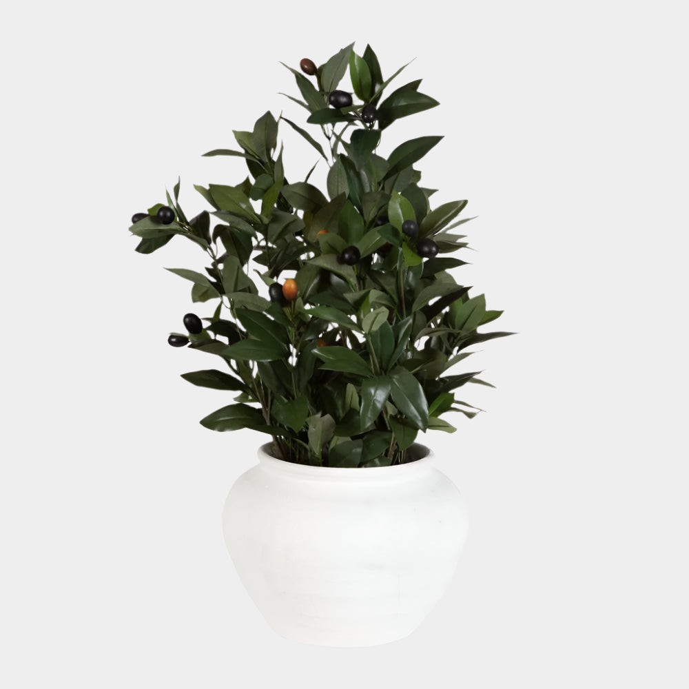 Elena Olive Centerpiece