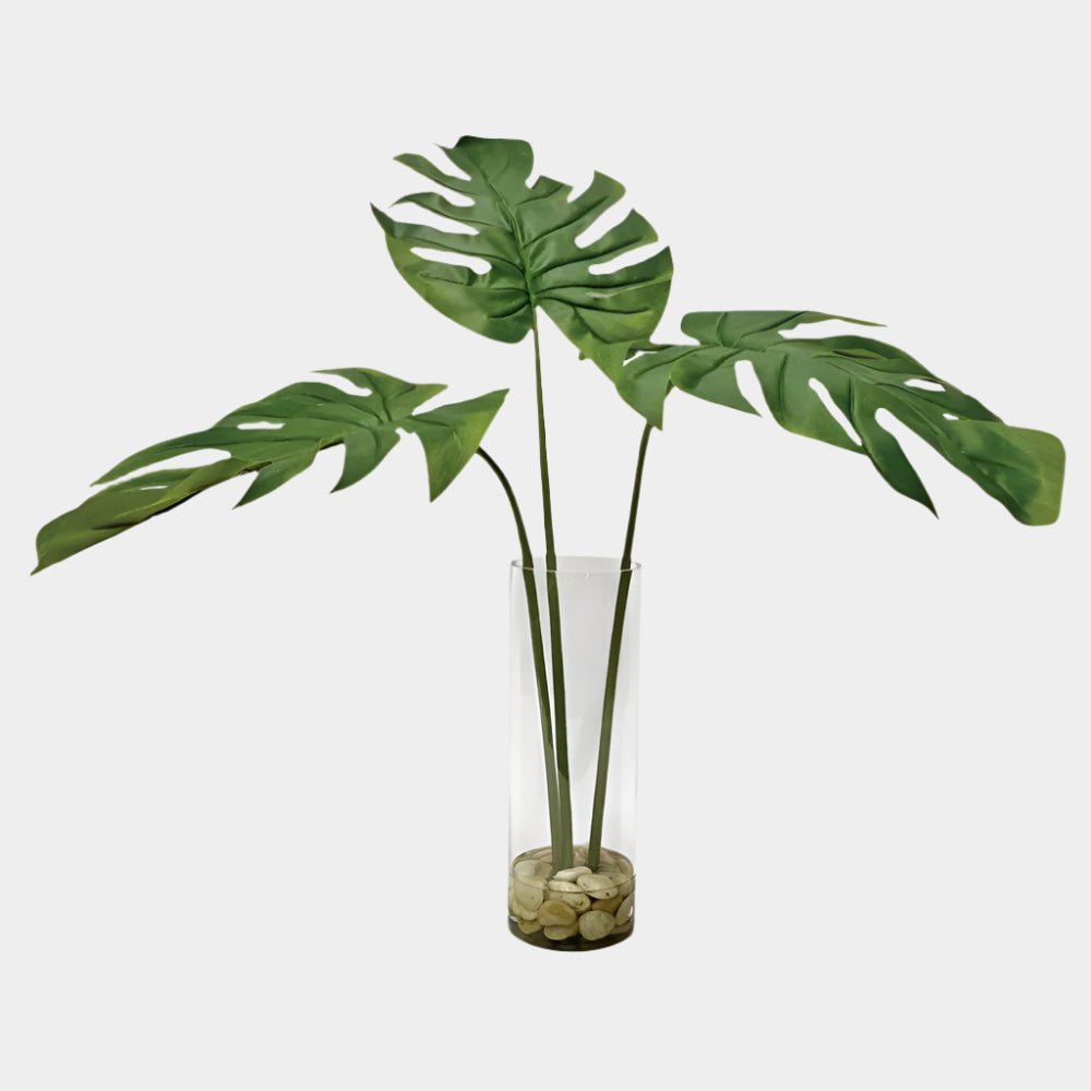 Ibero Split Leaf Palm