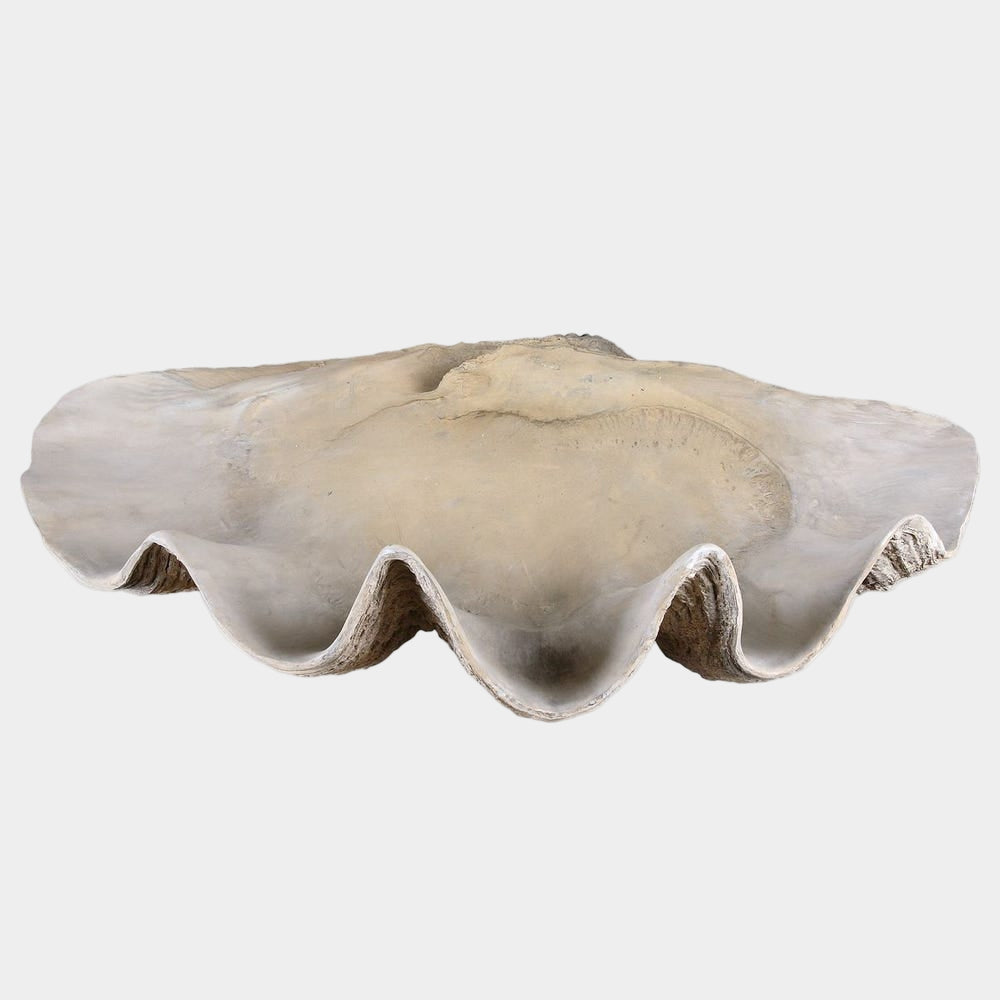 Clam Shell Bowl