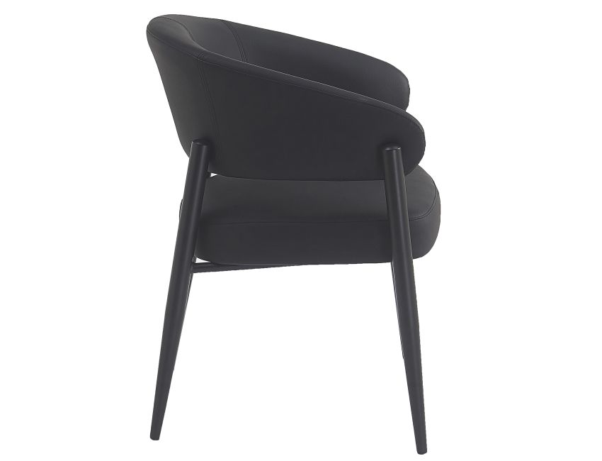 Bronson Dining Chair - Set of 2 in Black and Black