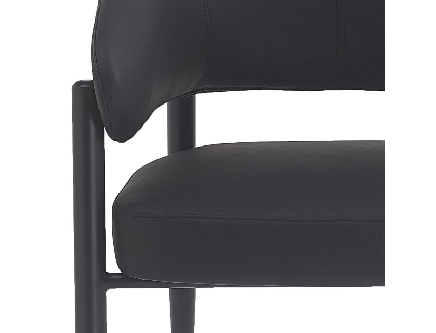 Bronson Dining Chair - Set of 2 in Black and Black