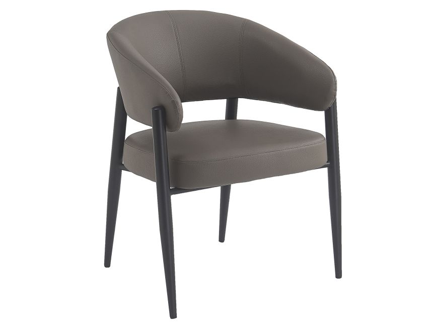 Bronson Dining Chair - Set of 2 in Stone and Black