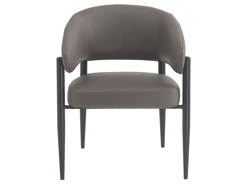 Bronson Dining Chair - Set of 2 in Stone and Black