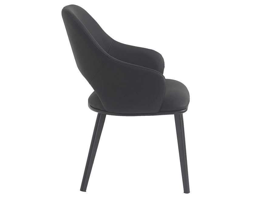 Denzel Dining Chair - Set of 4 in Black and Black