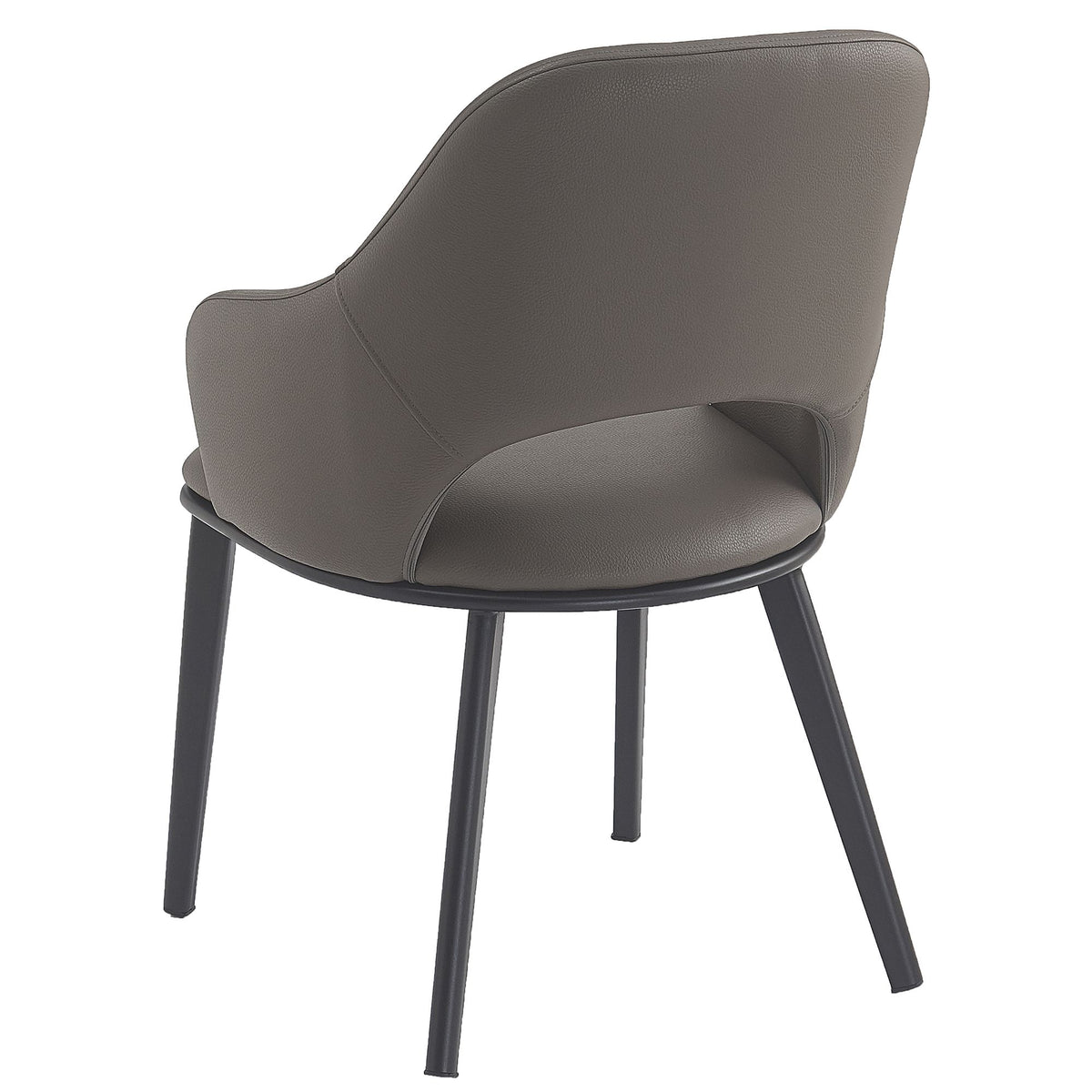 Denzel Dining Chair - Set of 4 in Stone and Black