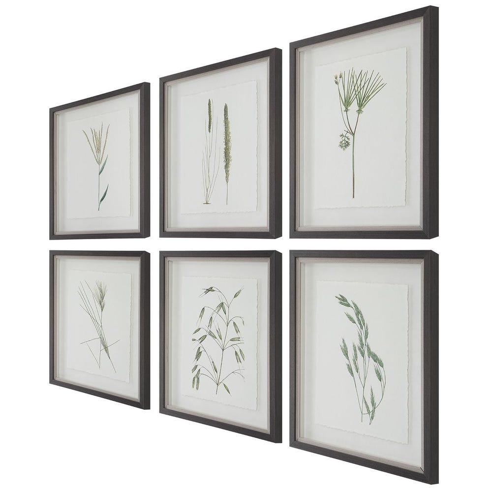 Forest Finds Framed Prints, S/6